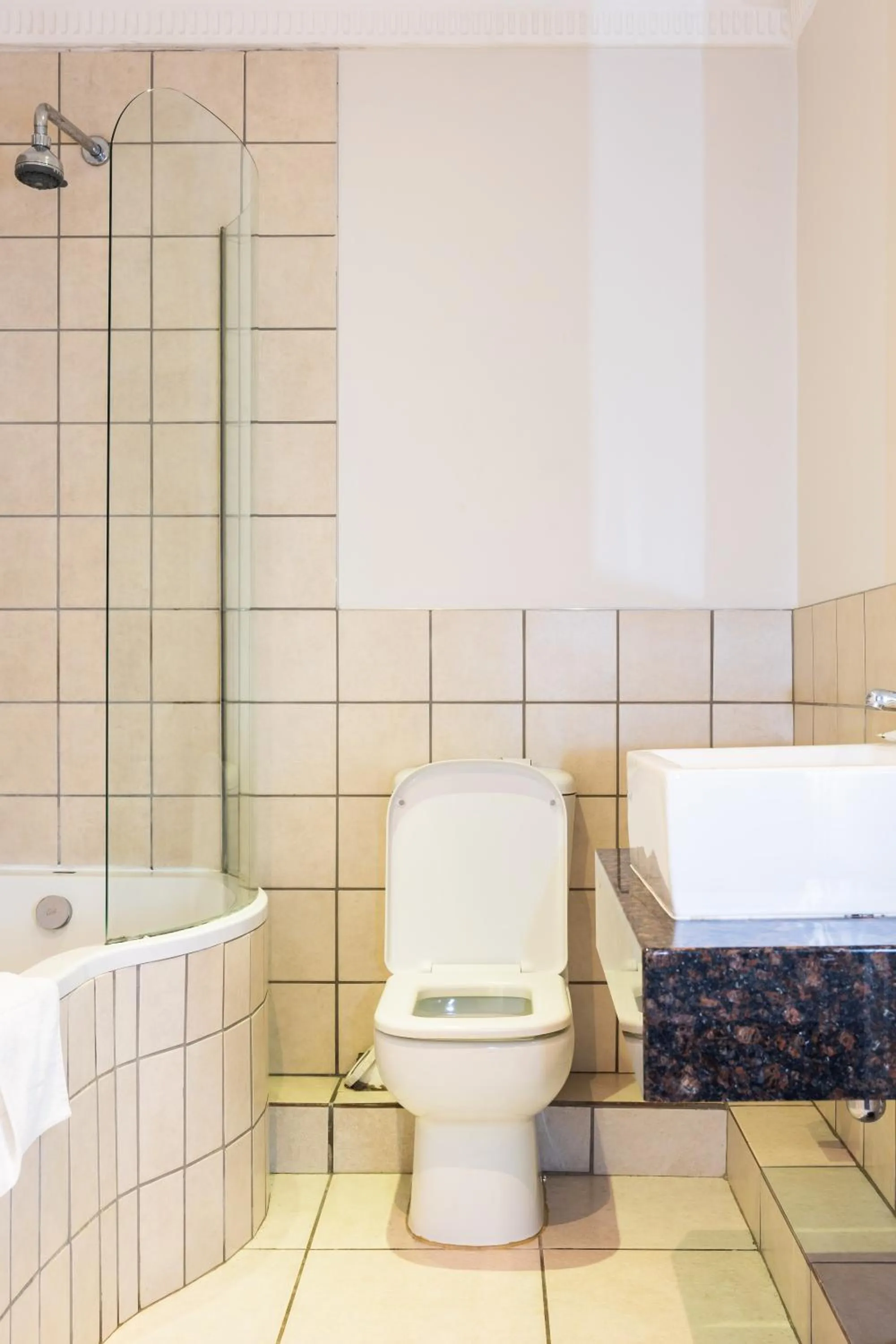 Toilet in Premier Splendid Inn Pinetown