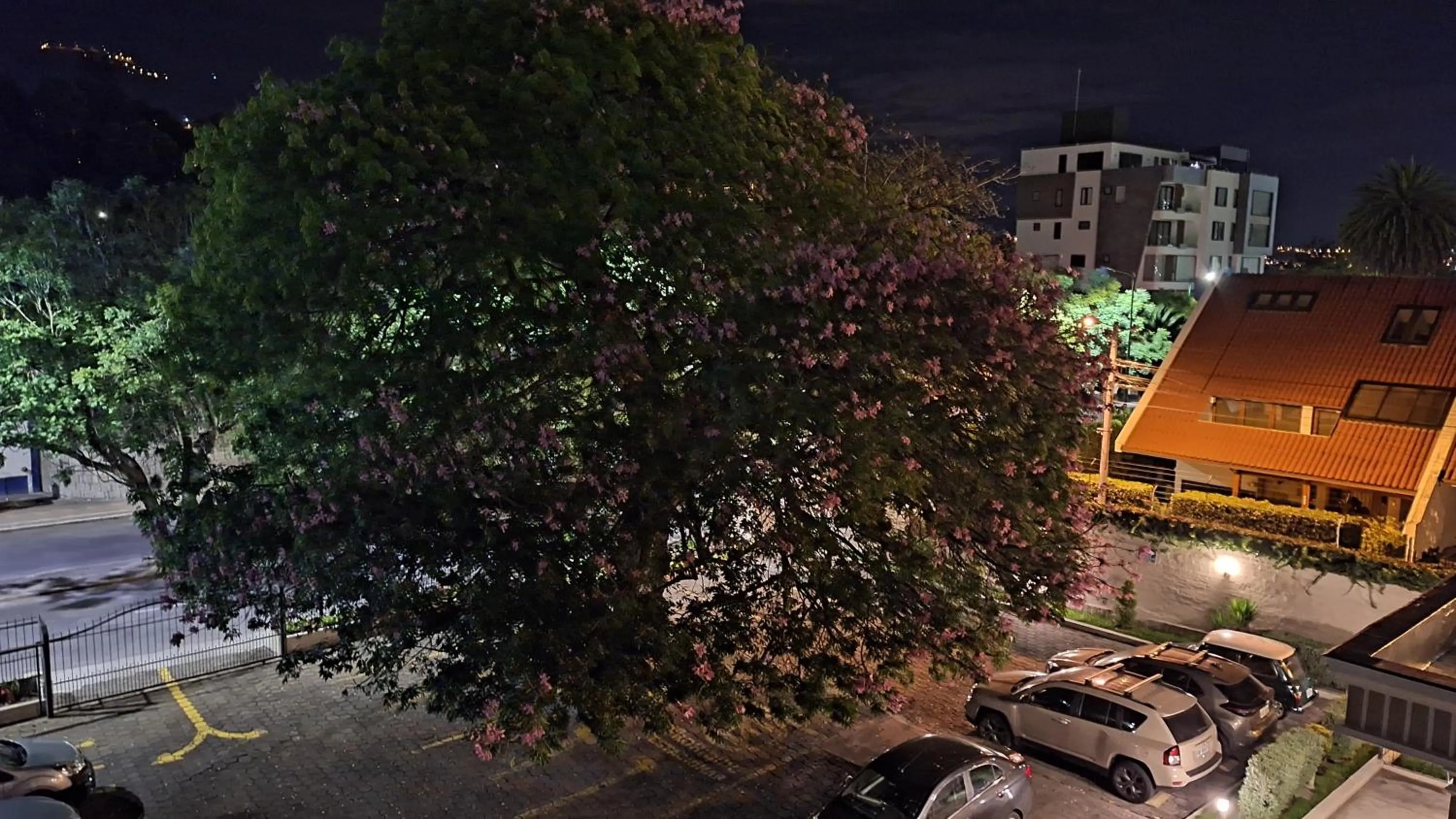 Property building in Hotel Florida