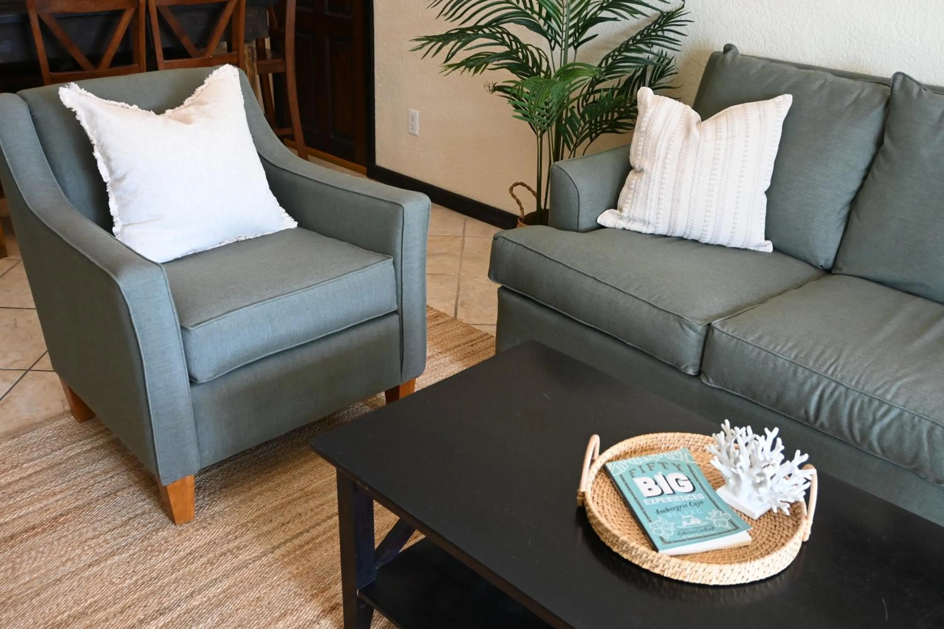 Living room in The Palapa House