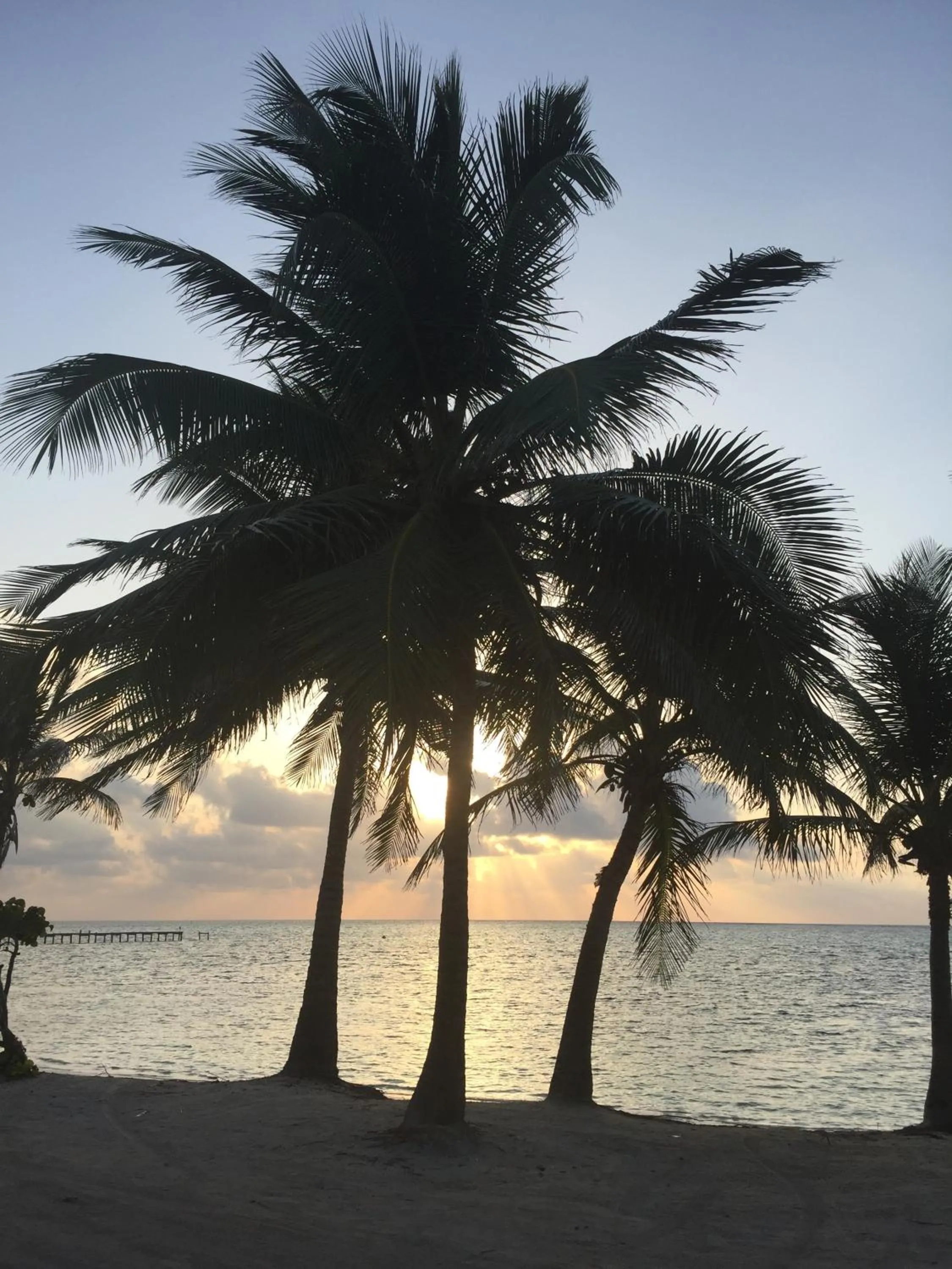 Sunrise in The Palapa House