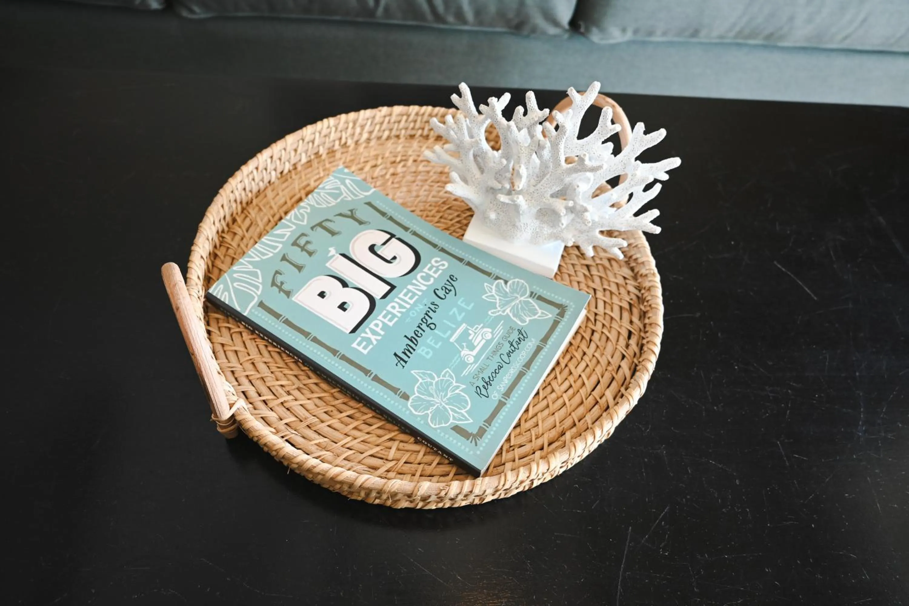 Living room in The Palapa House