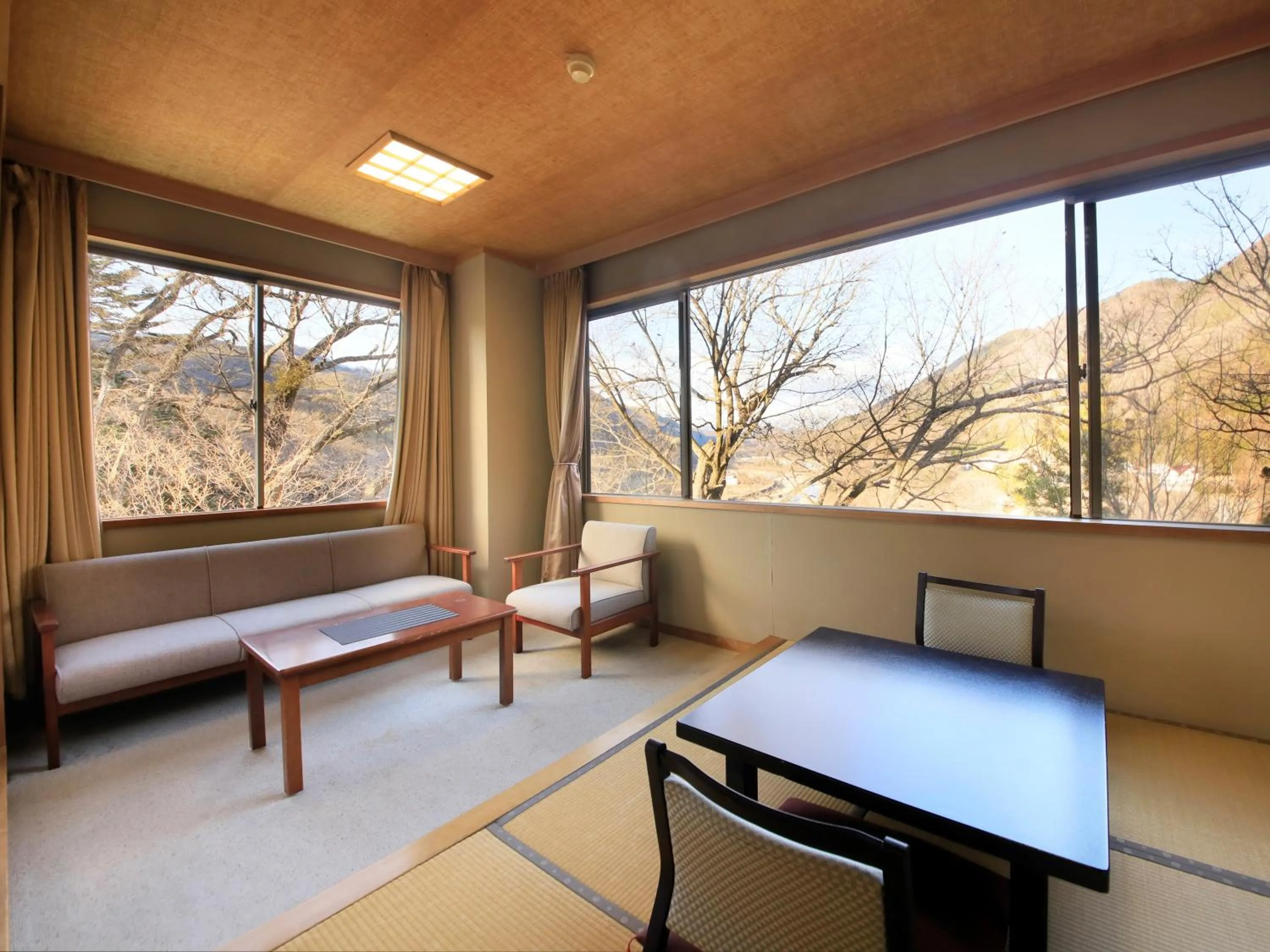 Photo of the whole room in Ginshotei Awashima