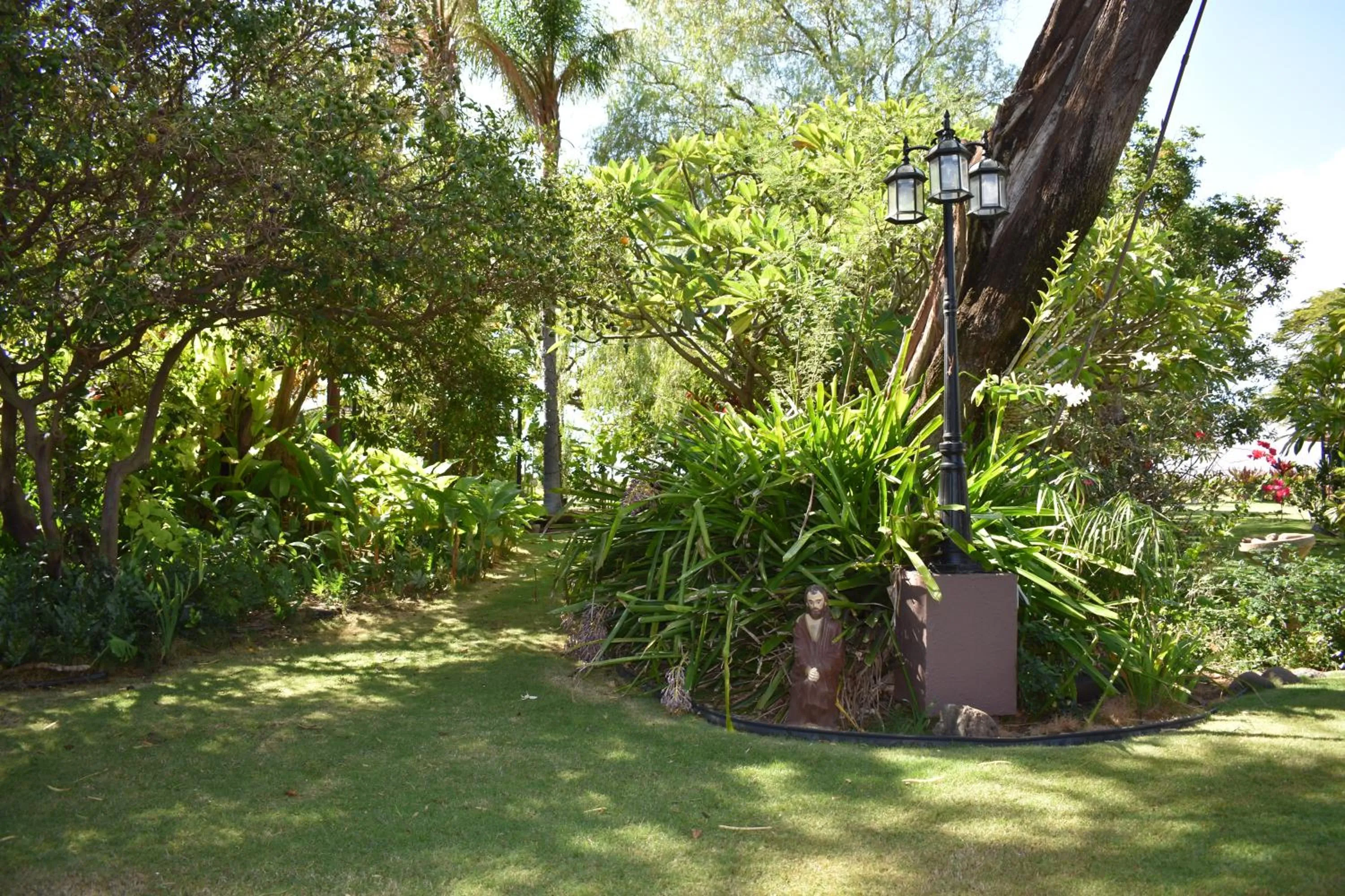 Garden in Nona Lani Cottages