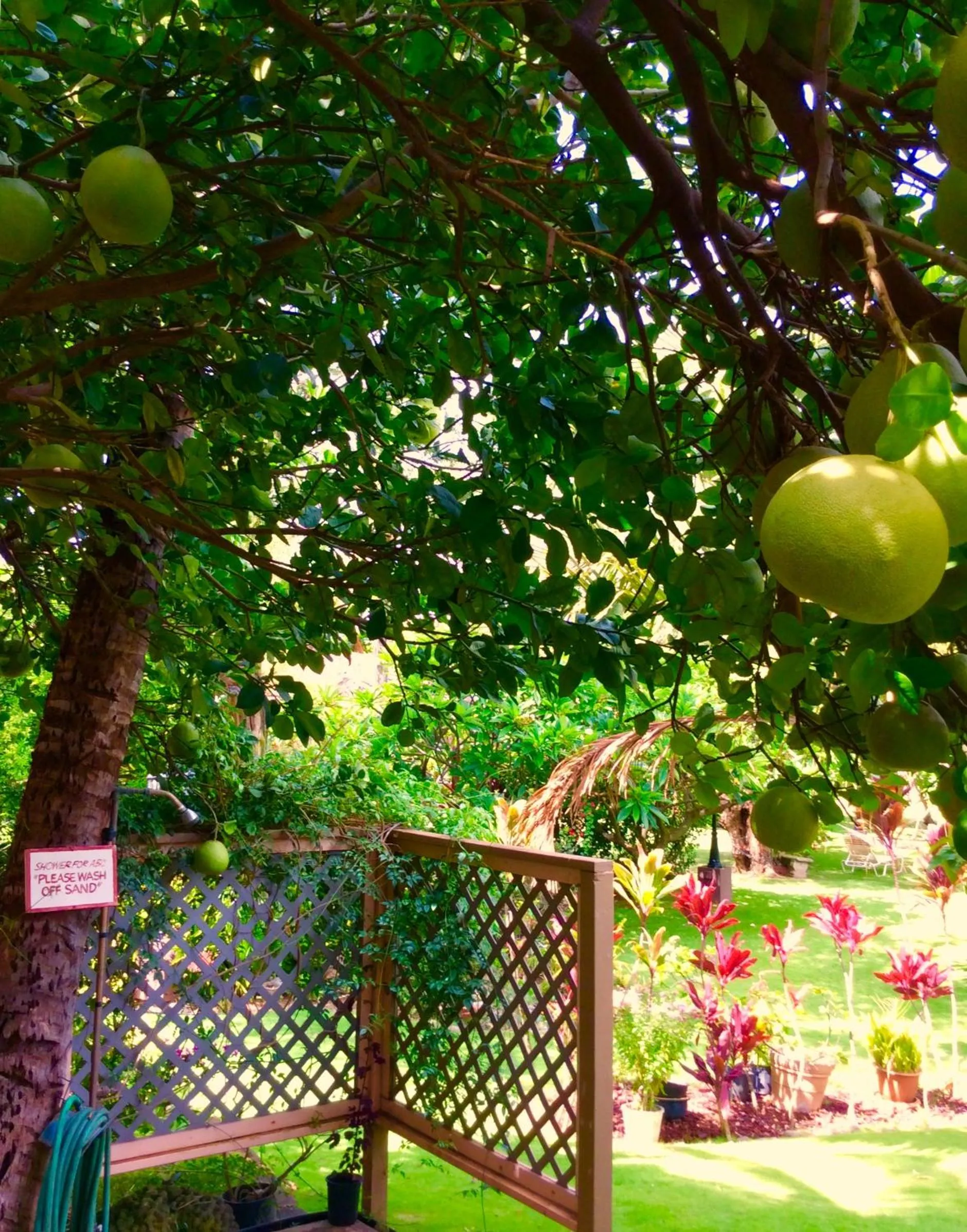 Garden in Nona Lani Cottages