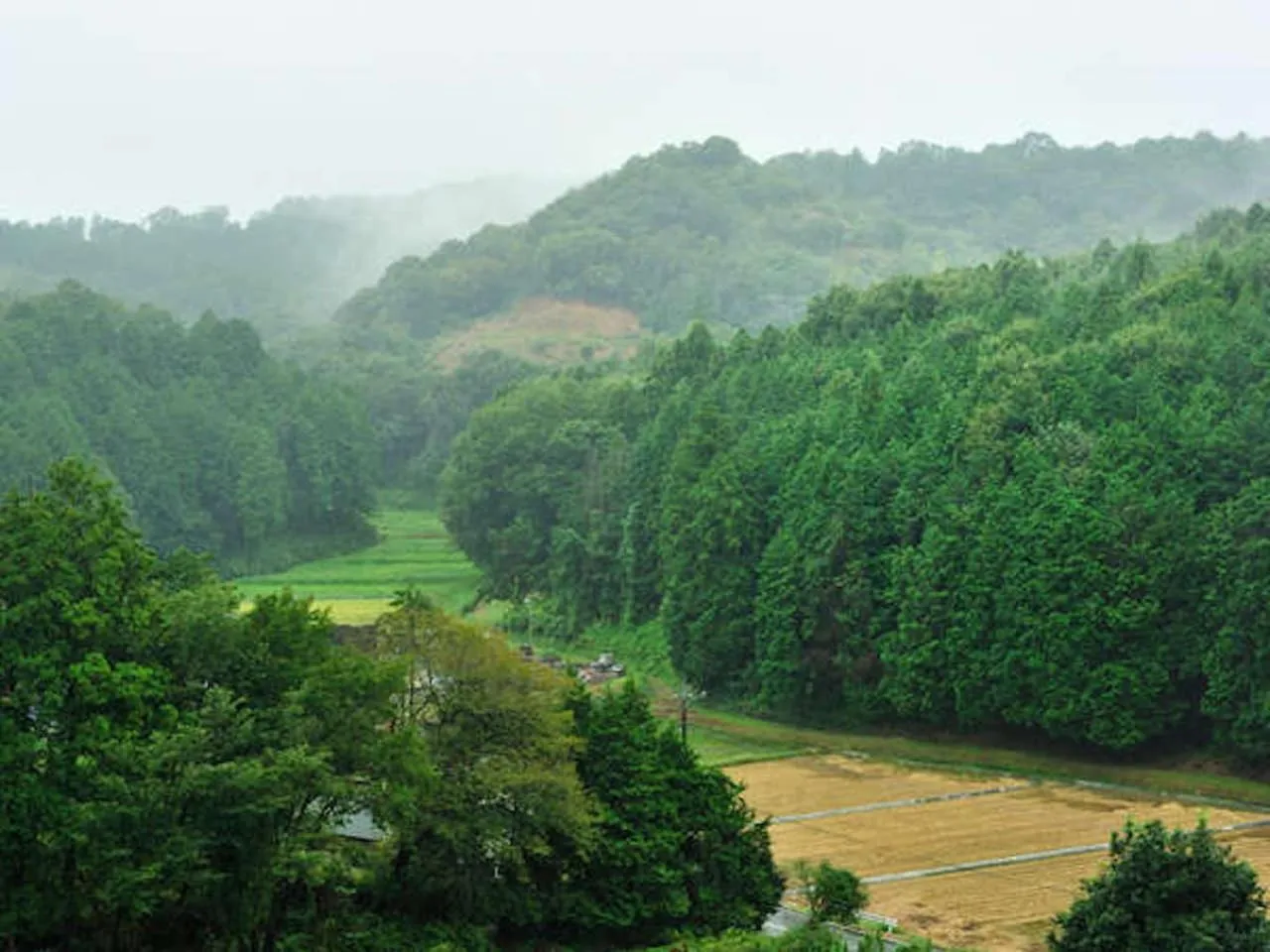 View (from property/room) in Mashikokan Satoyama Resort Hotel