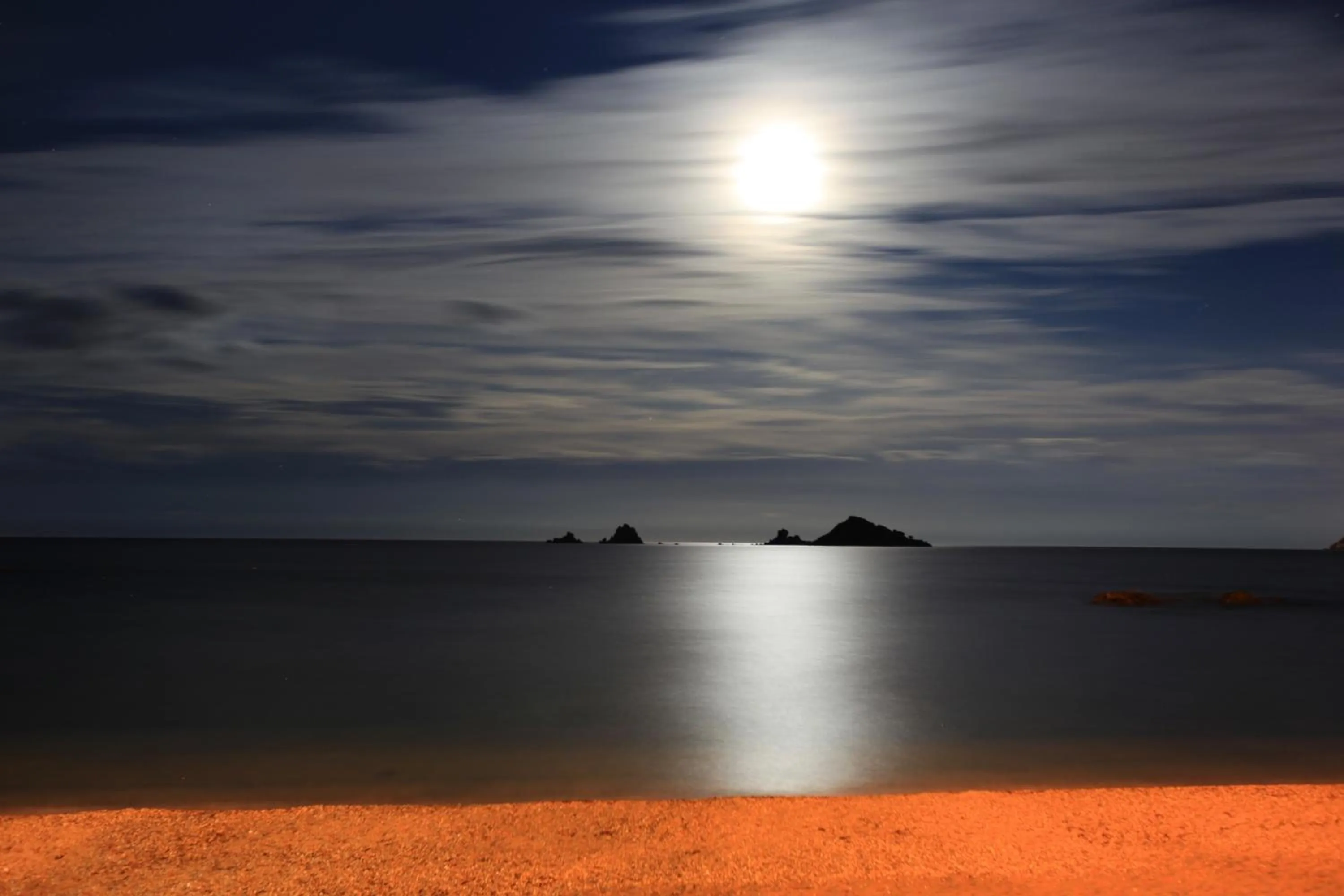 Night in Nascar Hotel