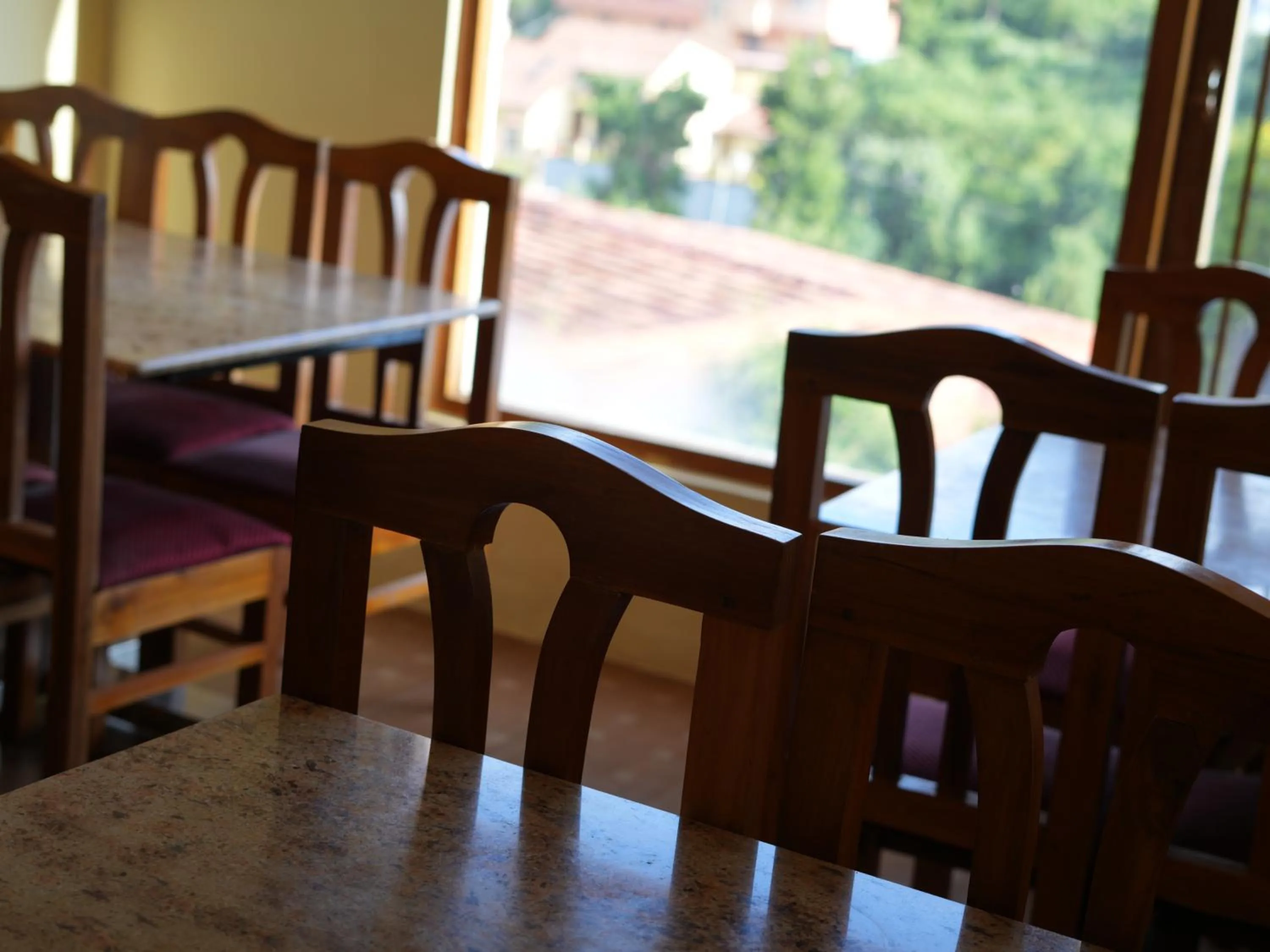 Satya Anand Cottage Pure Veg and Non Alcoholic Hotel