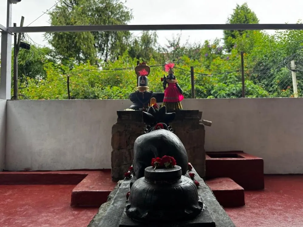 Satya Anand Cottage Pure Veg and Non Alcoholic Hotel