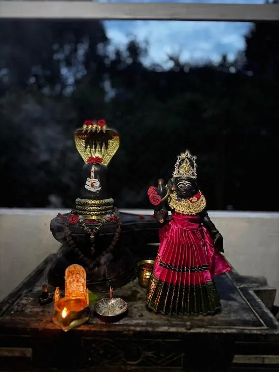 Satya Anand Cottage Pure Veg and Non Alcoholic Hotel