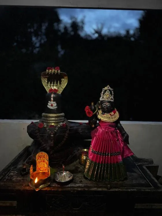 Satya Anand Cottage Pure Veg and Non Alcoholic Hotel