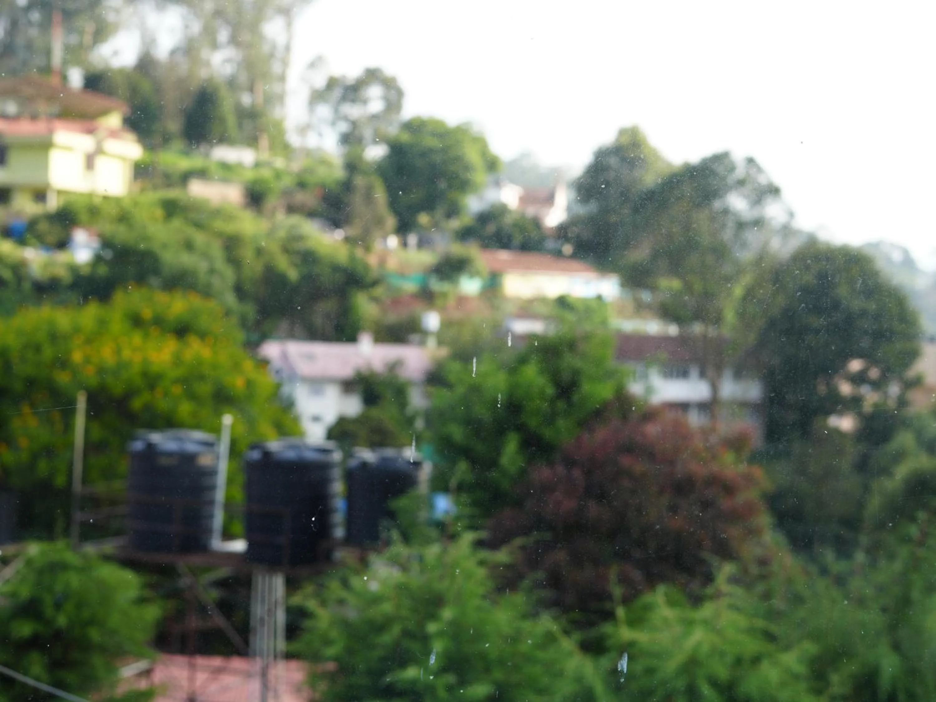 Satya Anand Cottage Pure Veg and Non Alcoholic Hotel