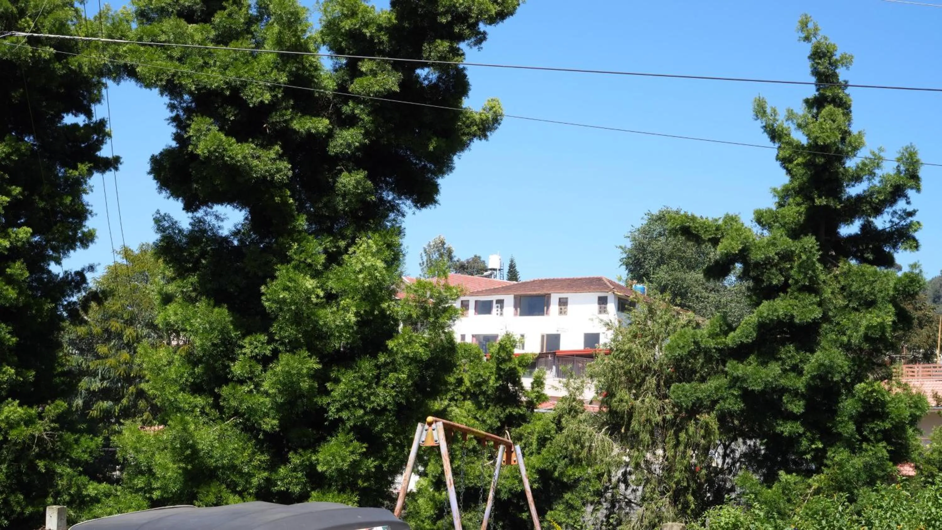 Satya Anand Cottage Pure Veg and Non Alcoholic Hotel