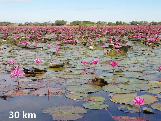 Nearby landmark in City Inn Udonthani