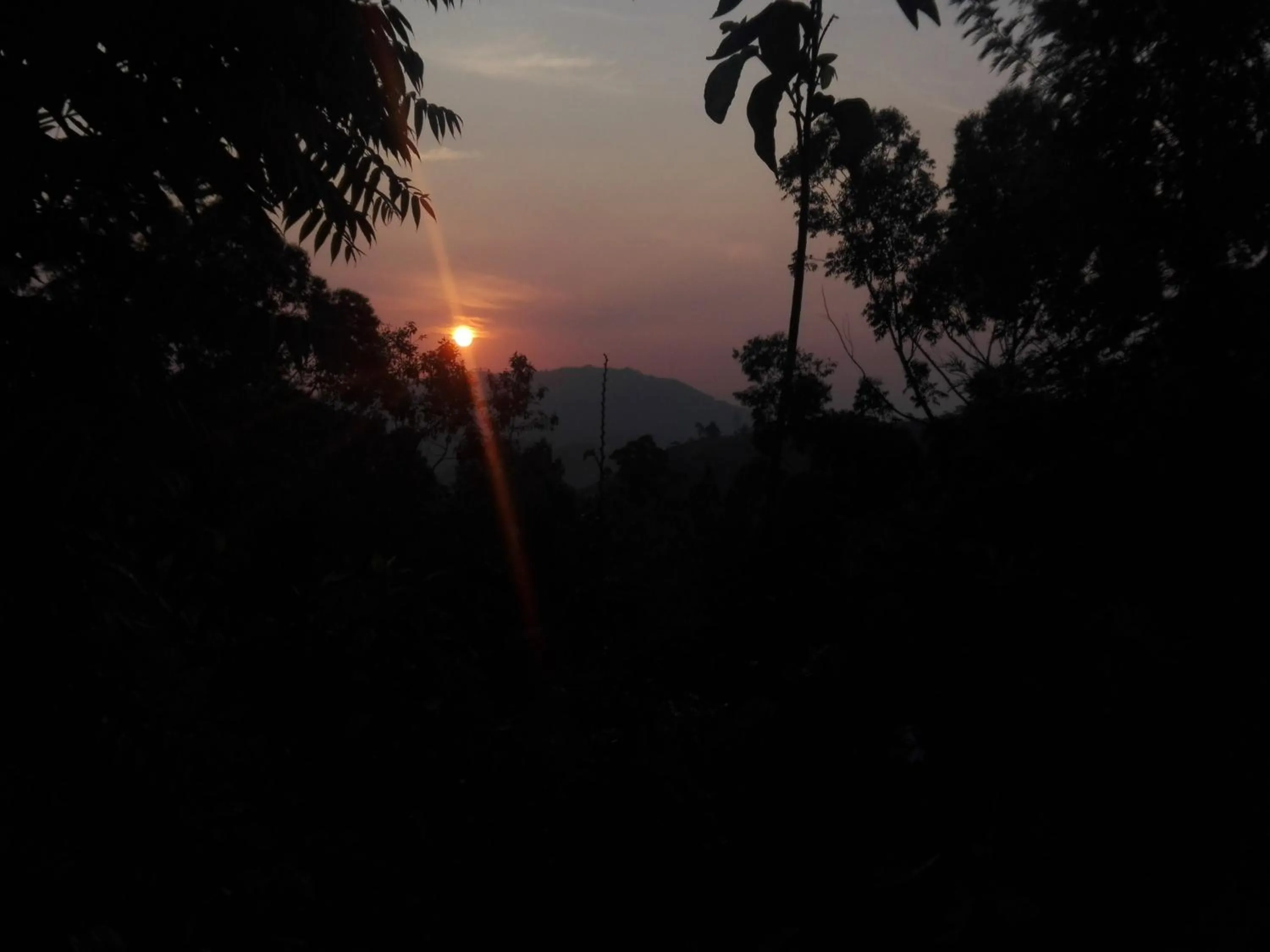 Property building in Ella New Green View