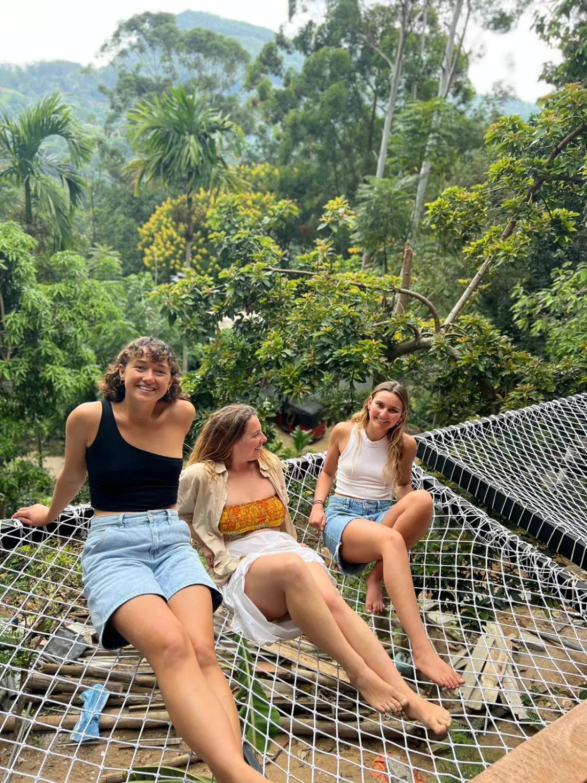 Spring in Ella New Green View