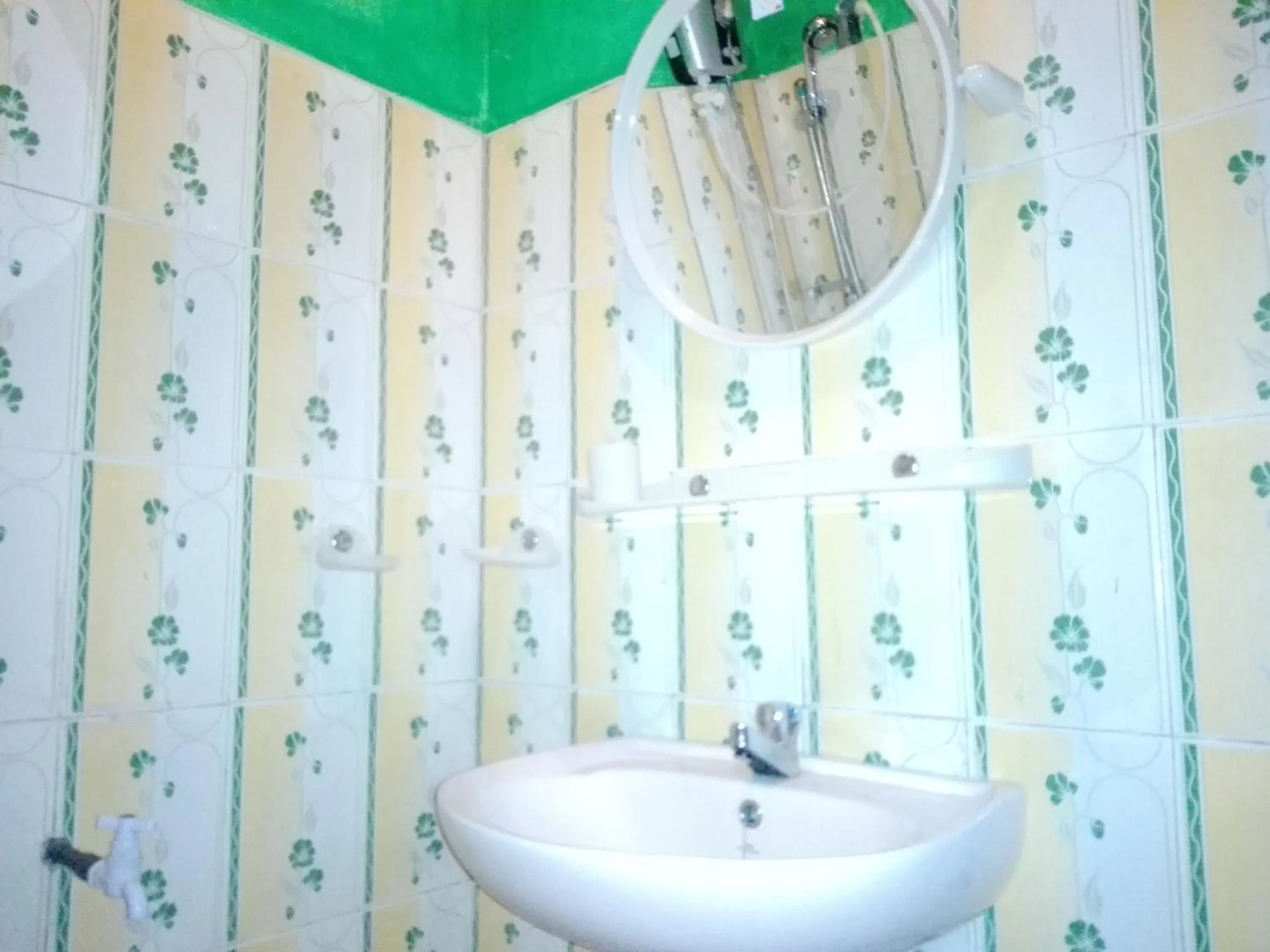 Other in Ella New Green View