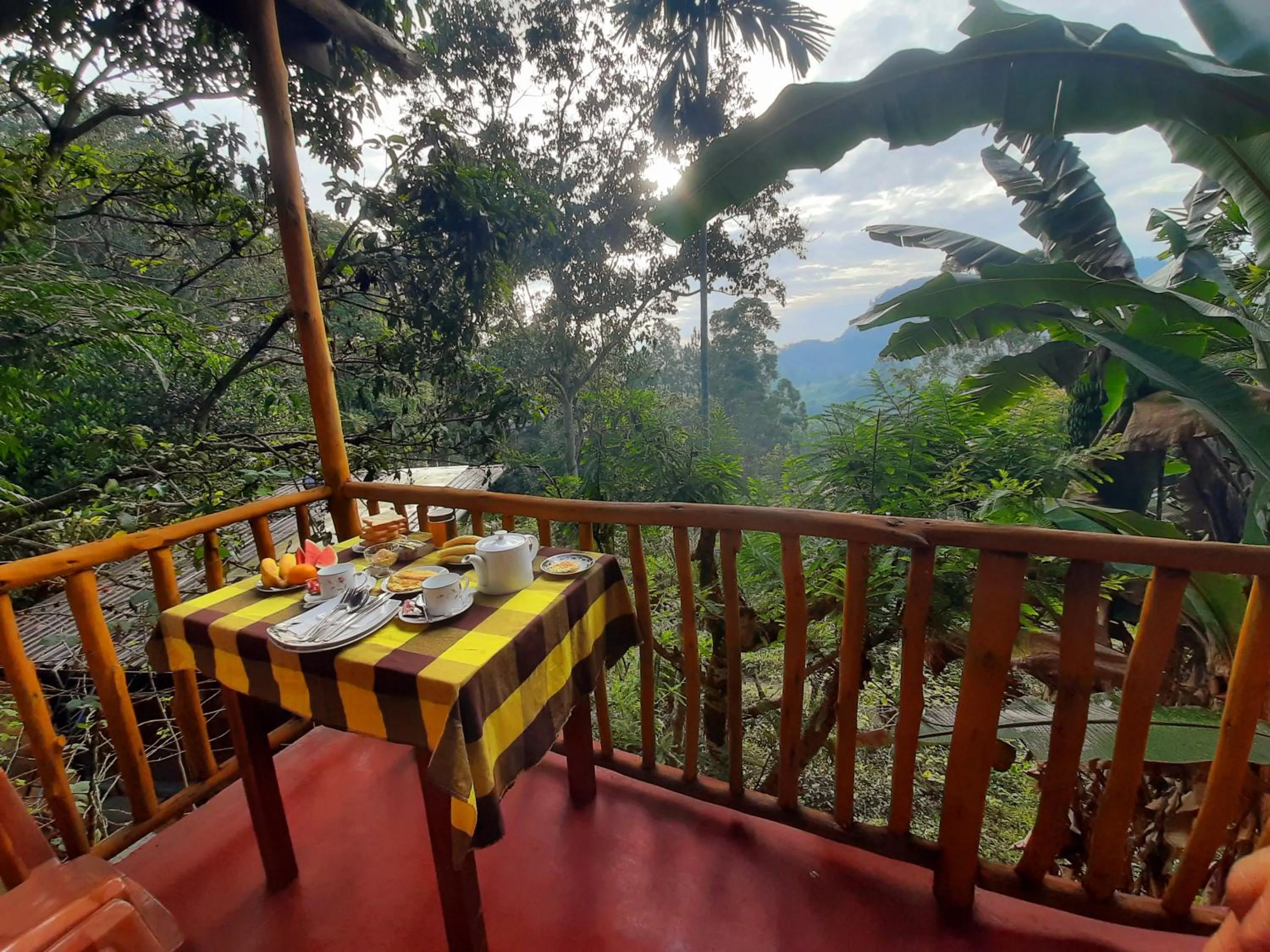 Mountain view in Ella New Green View