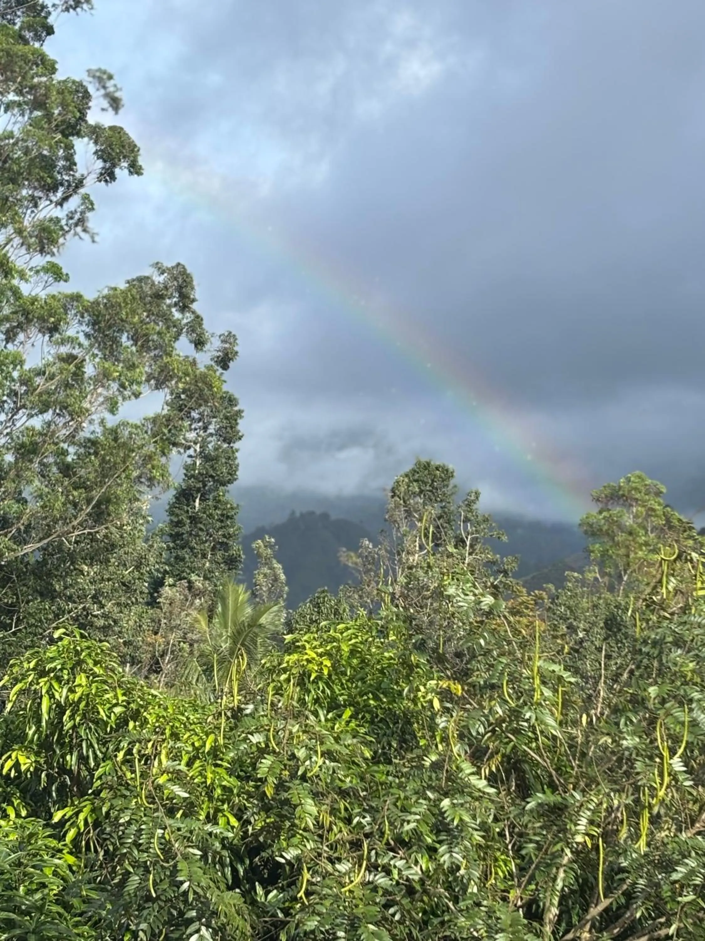 Mountain view in Ella New Green View