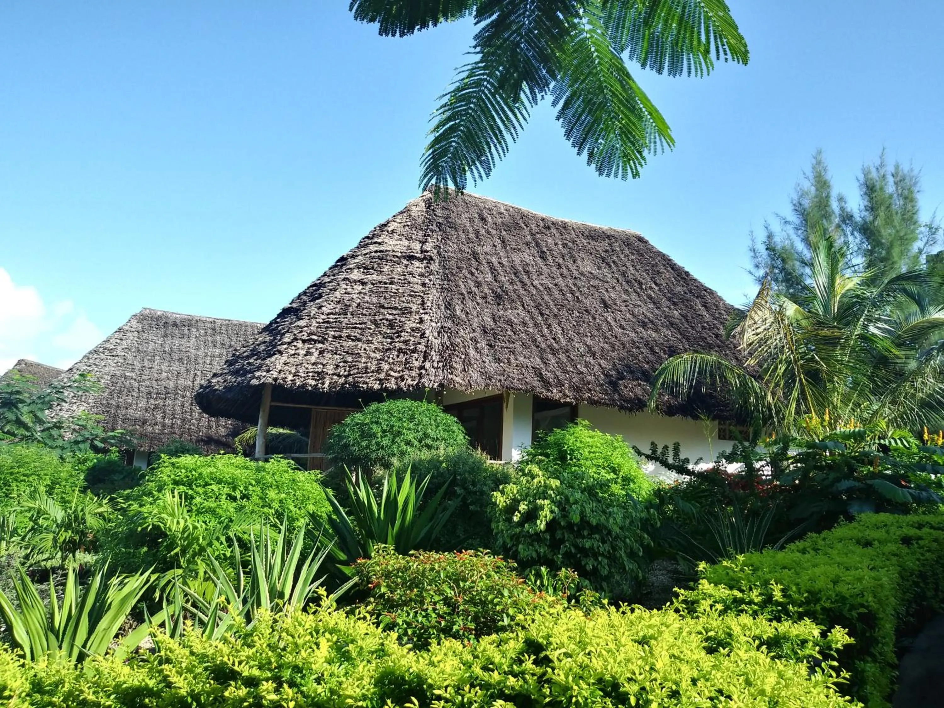 Garden in Marafiki Bungalows