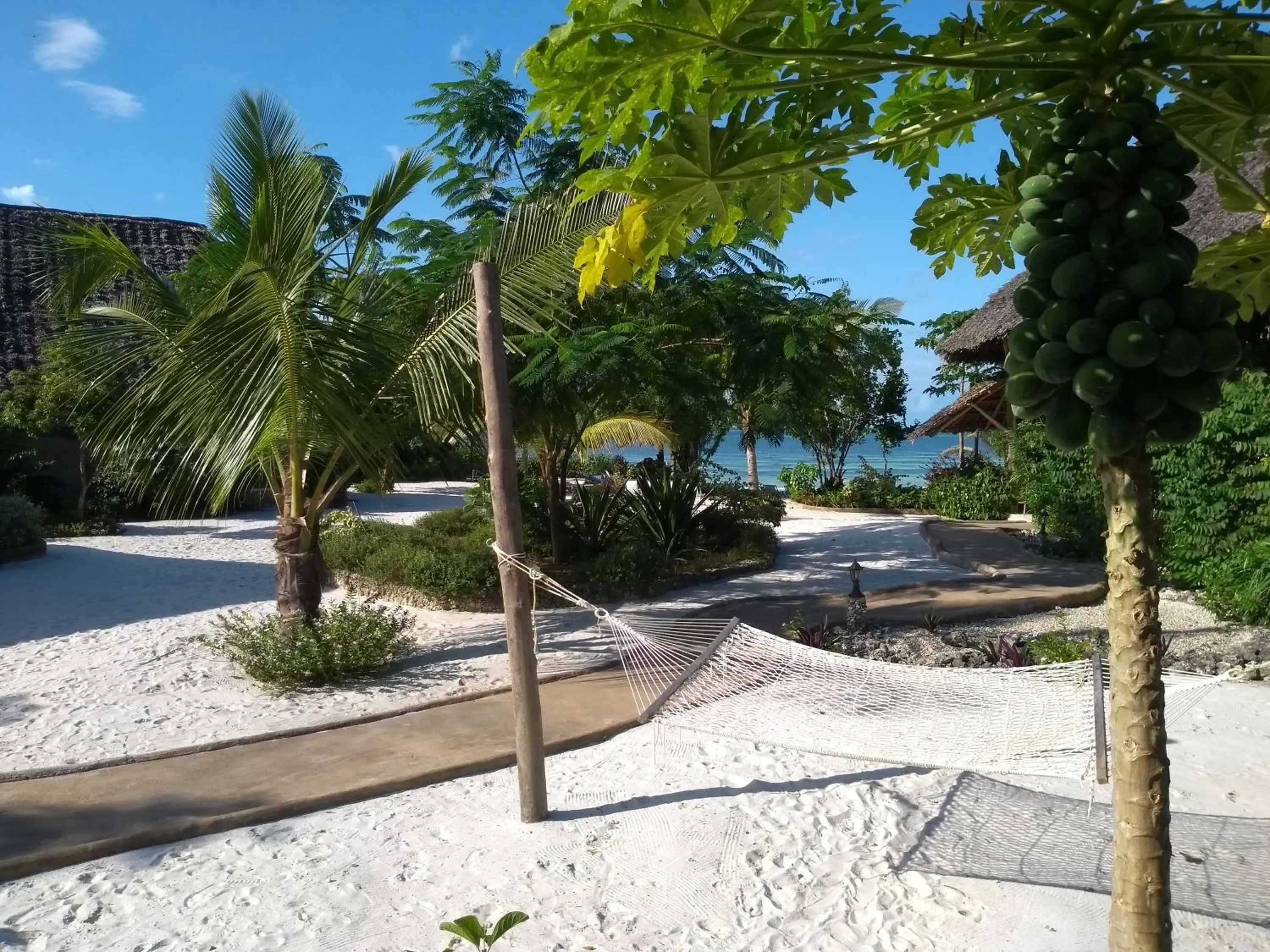 Garden in Marafiki Bungalows
