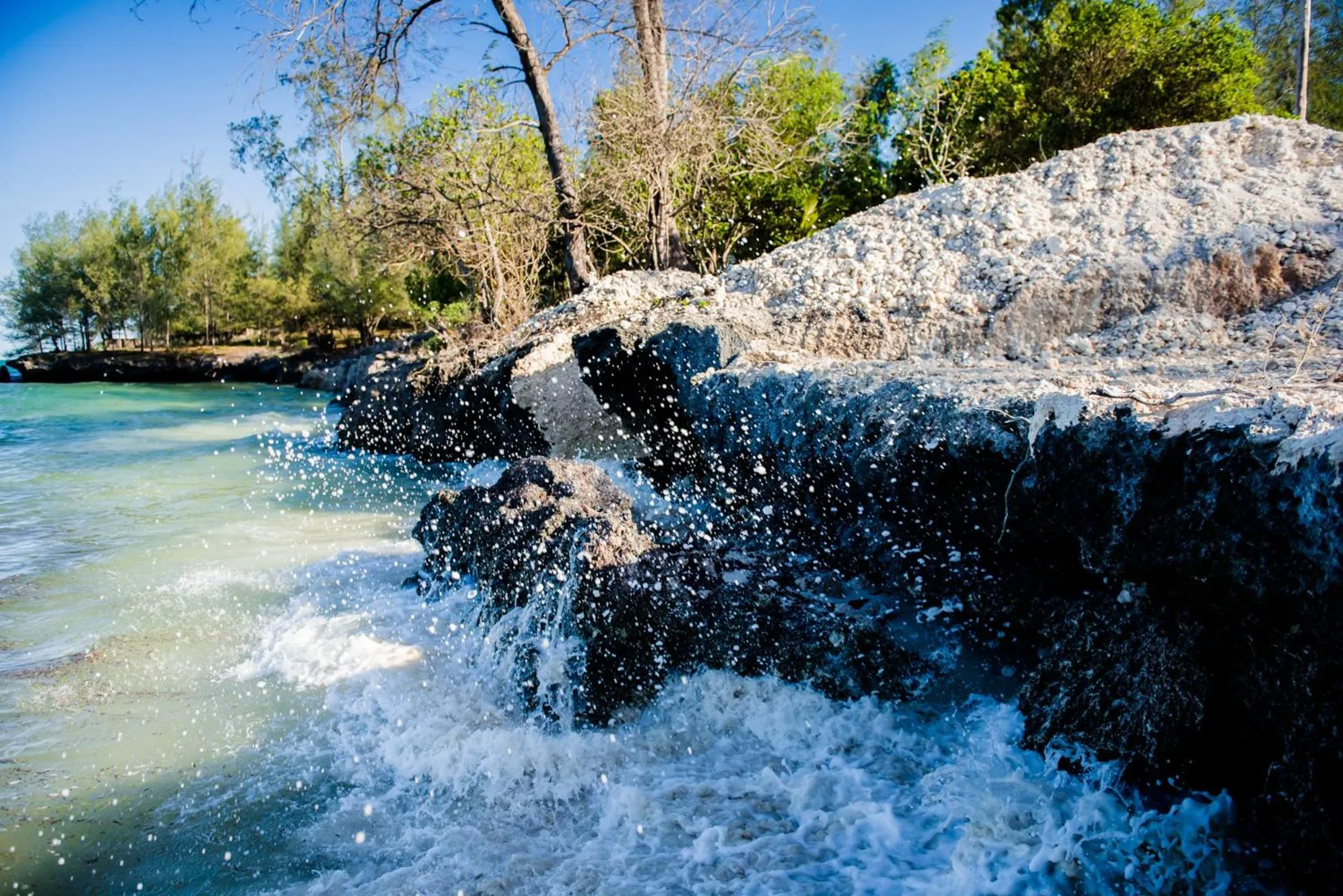 Natural landscape in Marafiki Bungalows