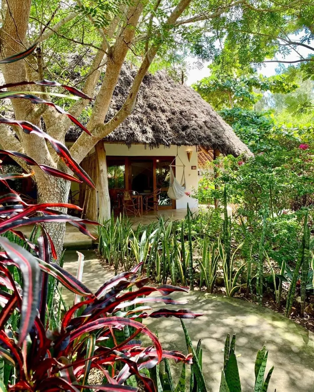 Property building in Marafiki Bungalows