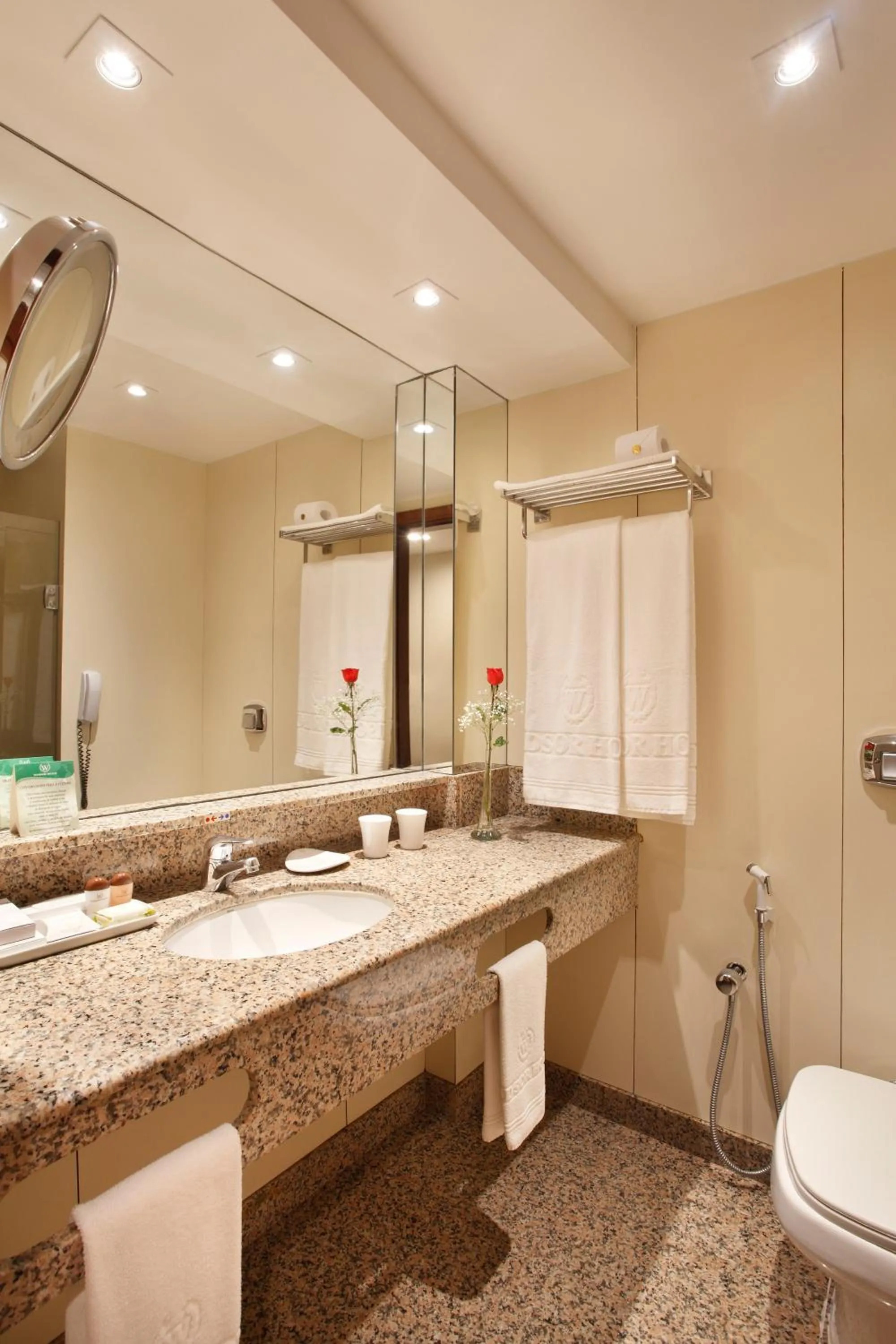 Shower in Windsor Excelsior Copacabana