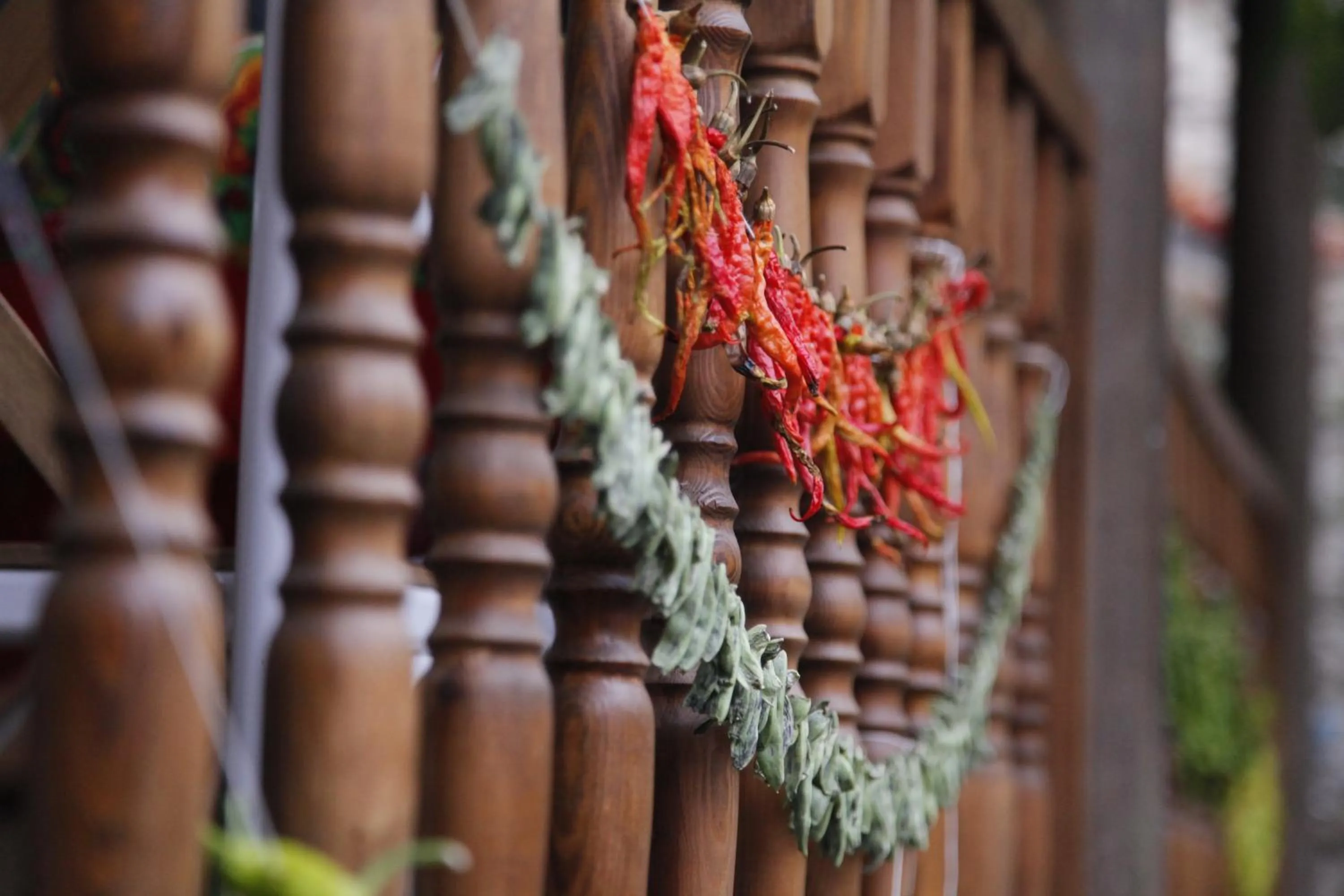 Garden in Yeni Gelin Evi