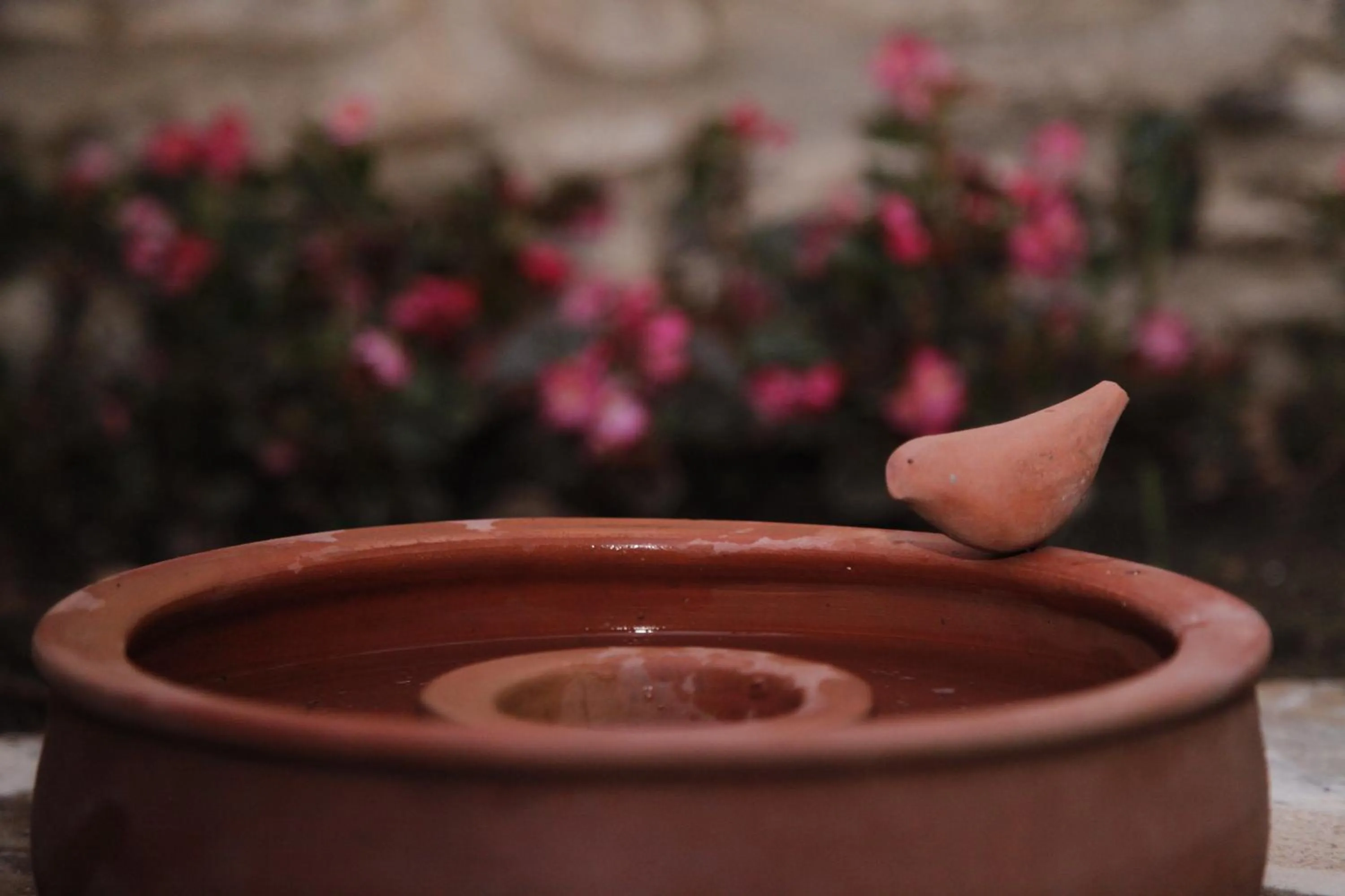 Garden in Yeni Gelin Evi