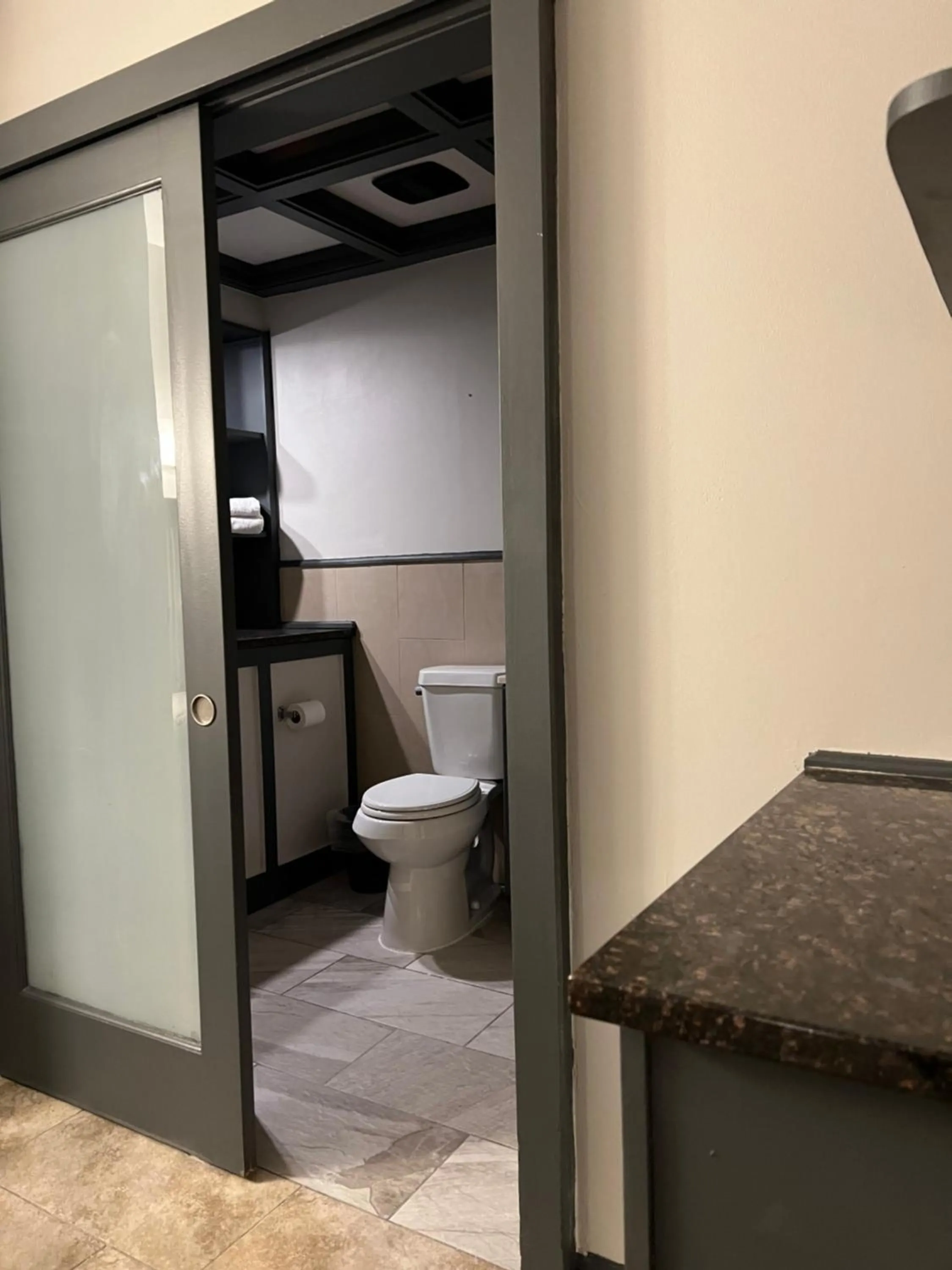 Toilet in Chateau Suites