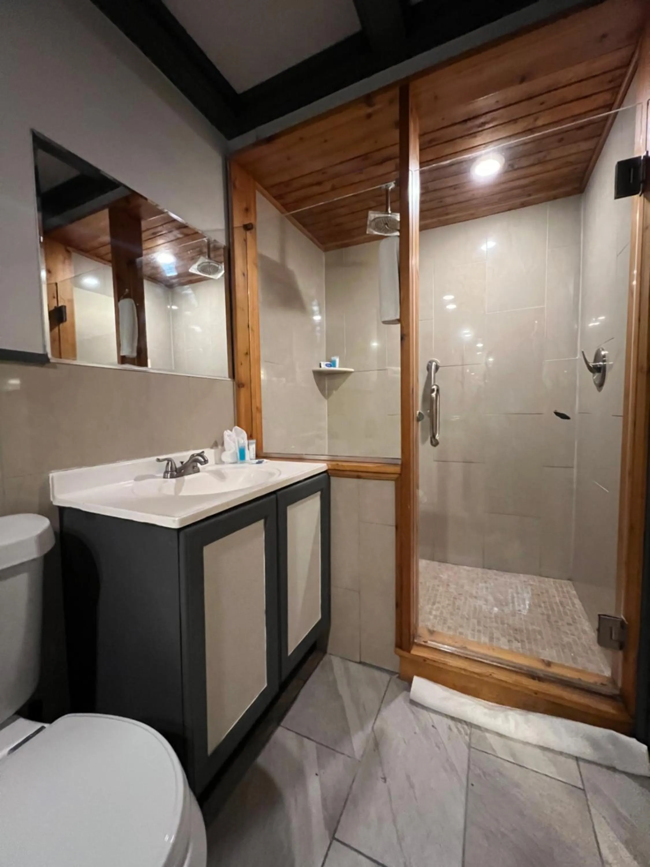 Shower in Chateau Suites