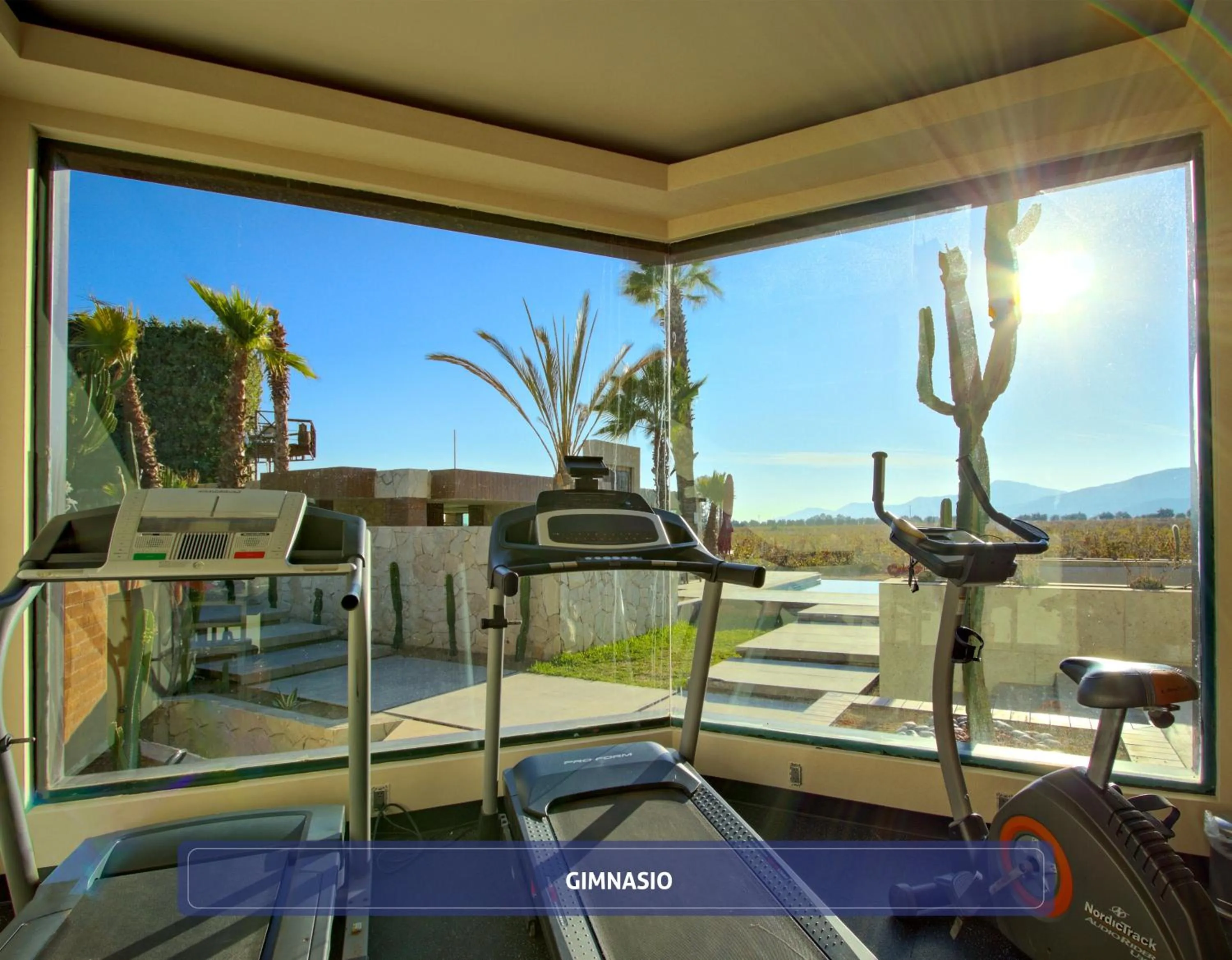 Fitness centre/facilities in Entre Viñedos by Hotel Boutique Valle de Guadalupe