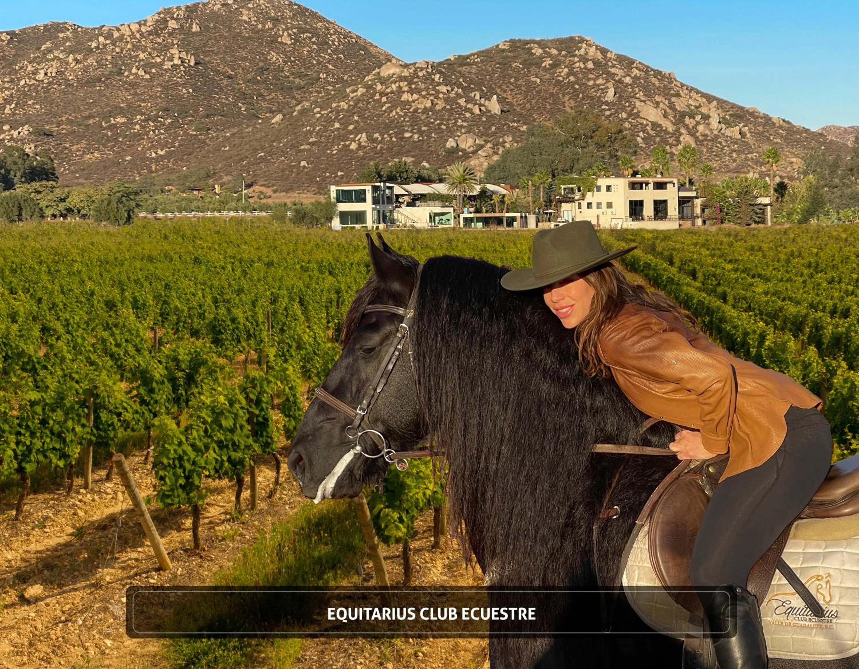 Horse-riding in Entre Viñedos by Hotel Boutique Valle de Guadalupe