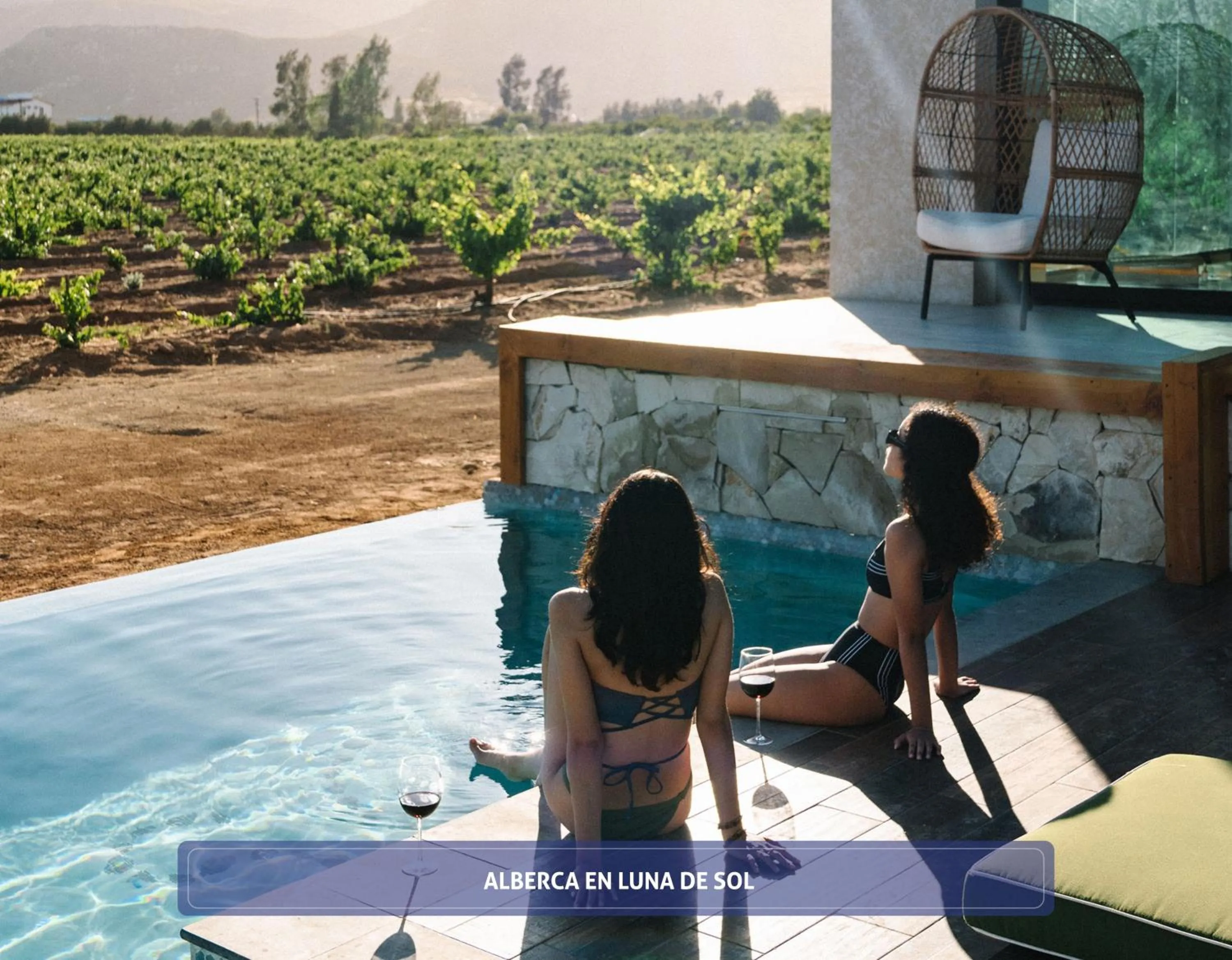 Swimming pool in Entre Viñedos by Hotel Boutique Valle de Guadalupe