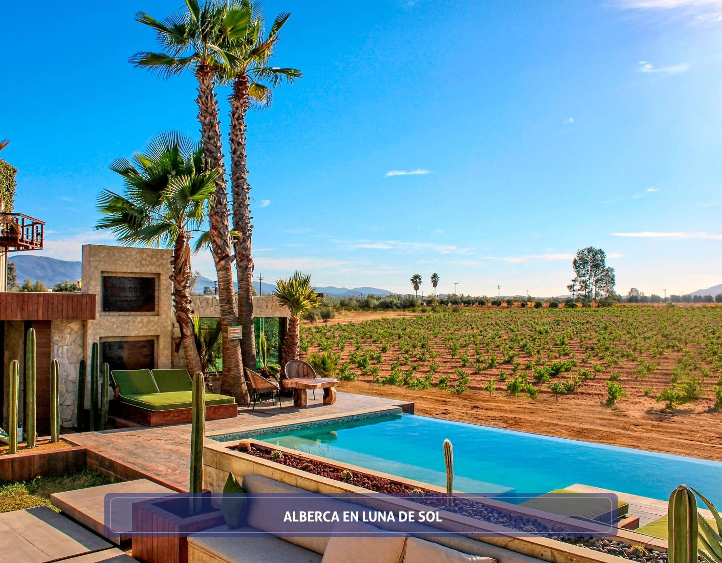 Pool view in Entre Viñedos by Hotel Boutique Valle de Guadalupe