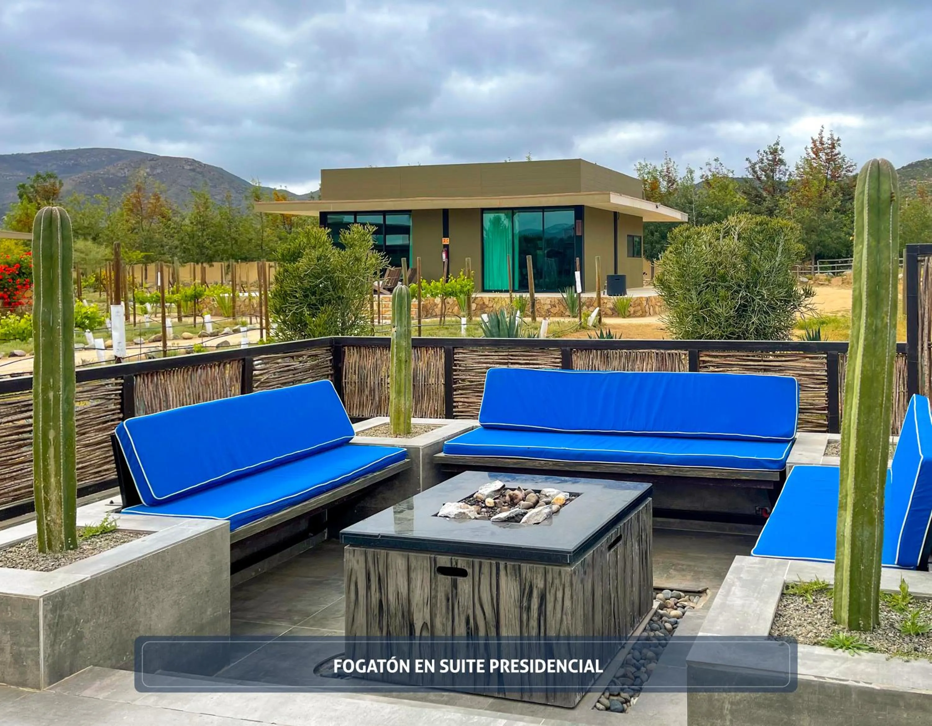 Balcony/Terrace in Entre Viñedos by Hotel Boutique Valle de Guadalupe
