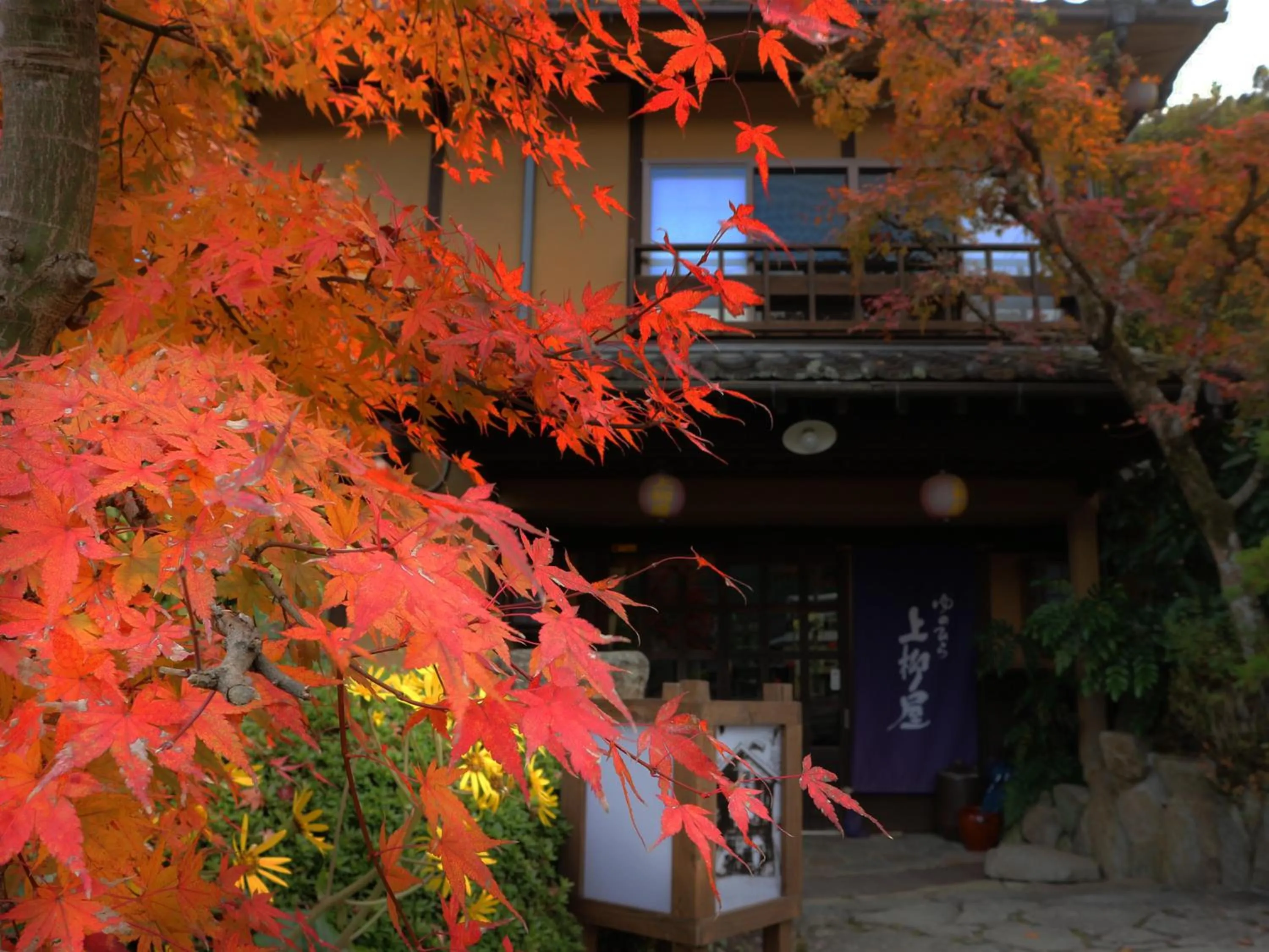 Property building in Yunohira Kamiyanagiya