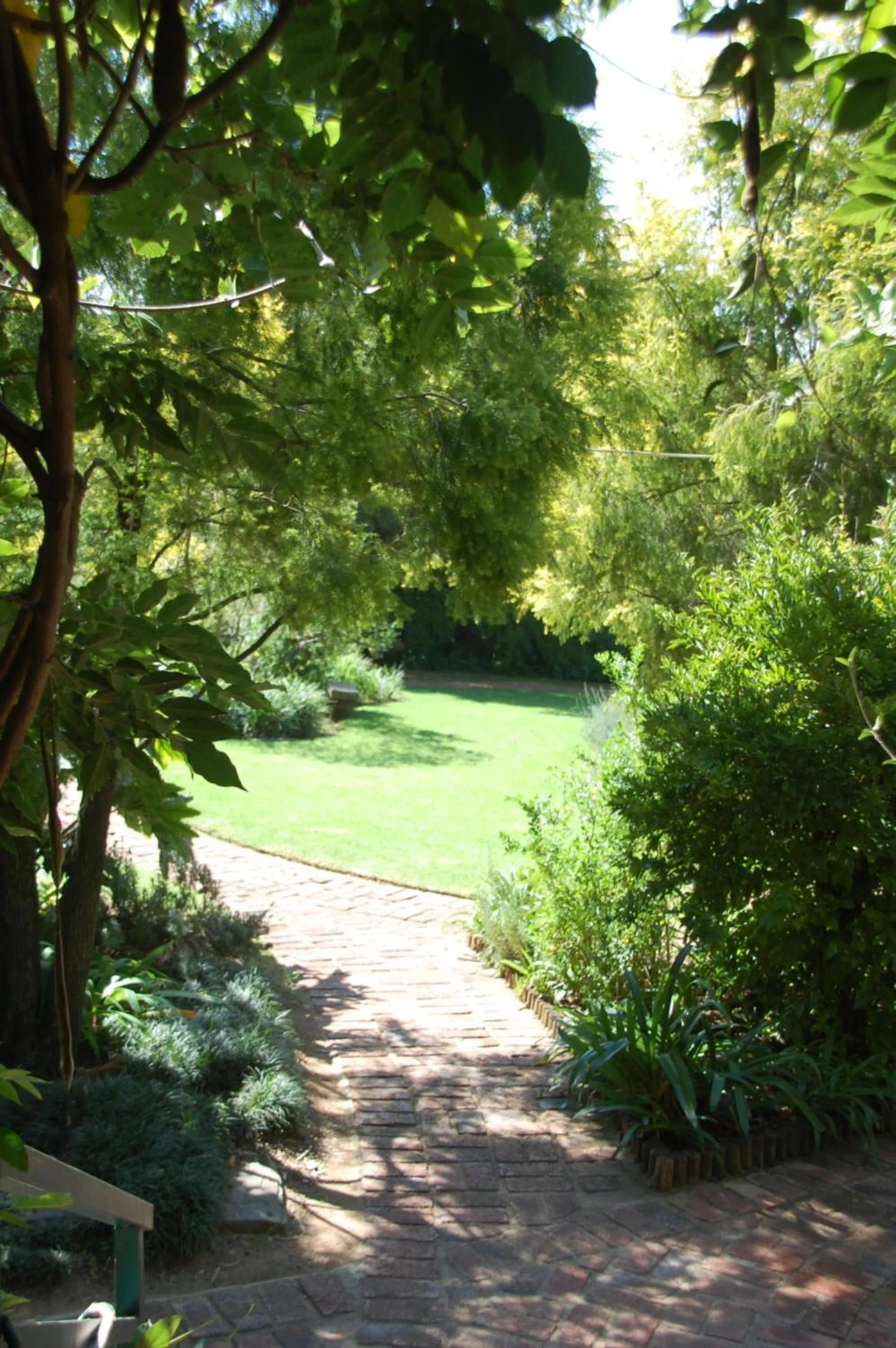 Garden in Rivonia Premier Lodge
