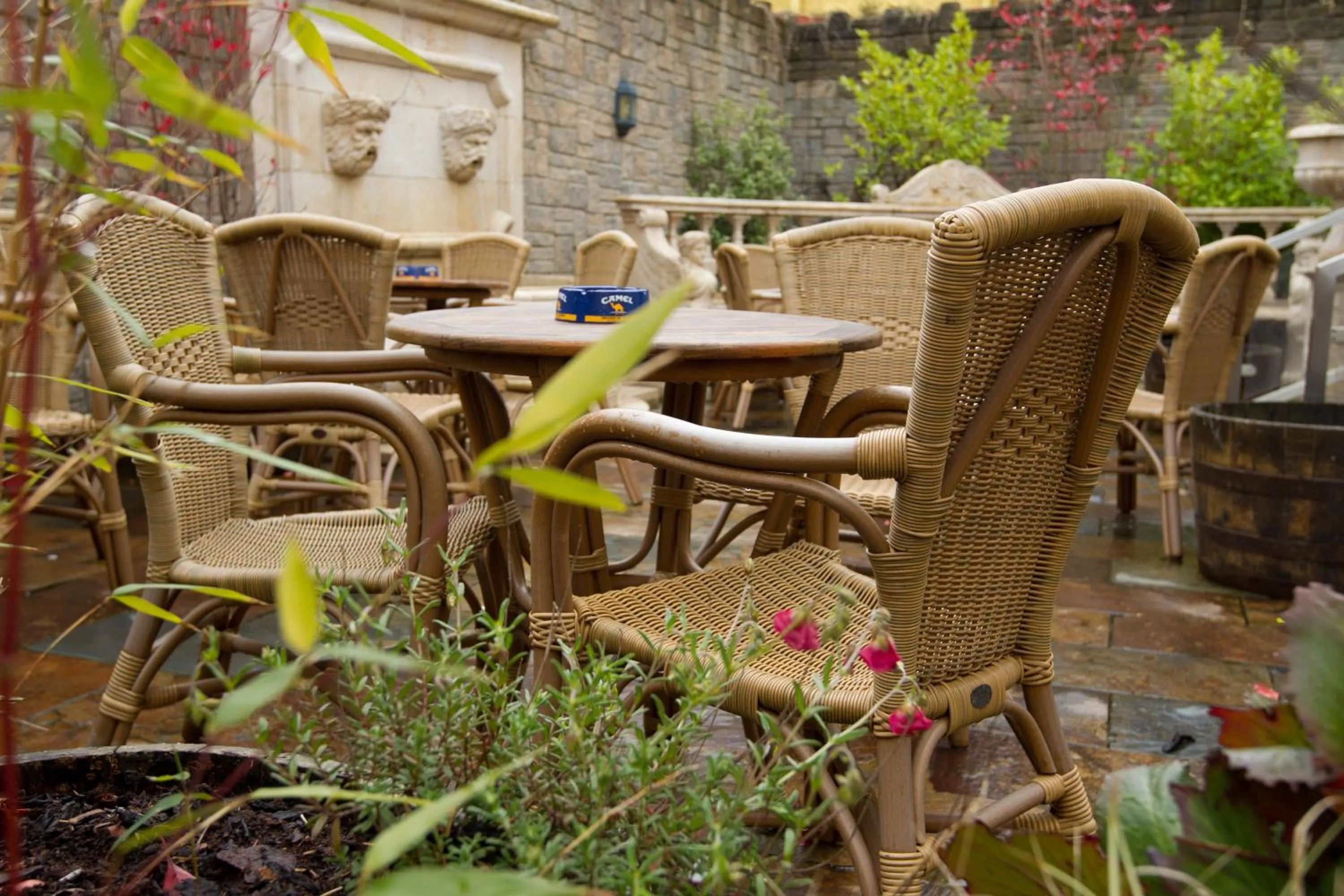 Garden in Beaumont House