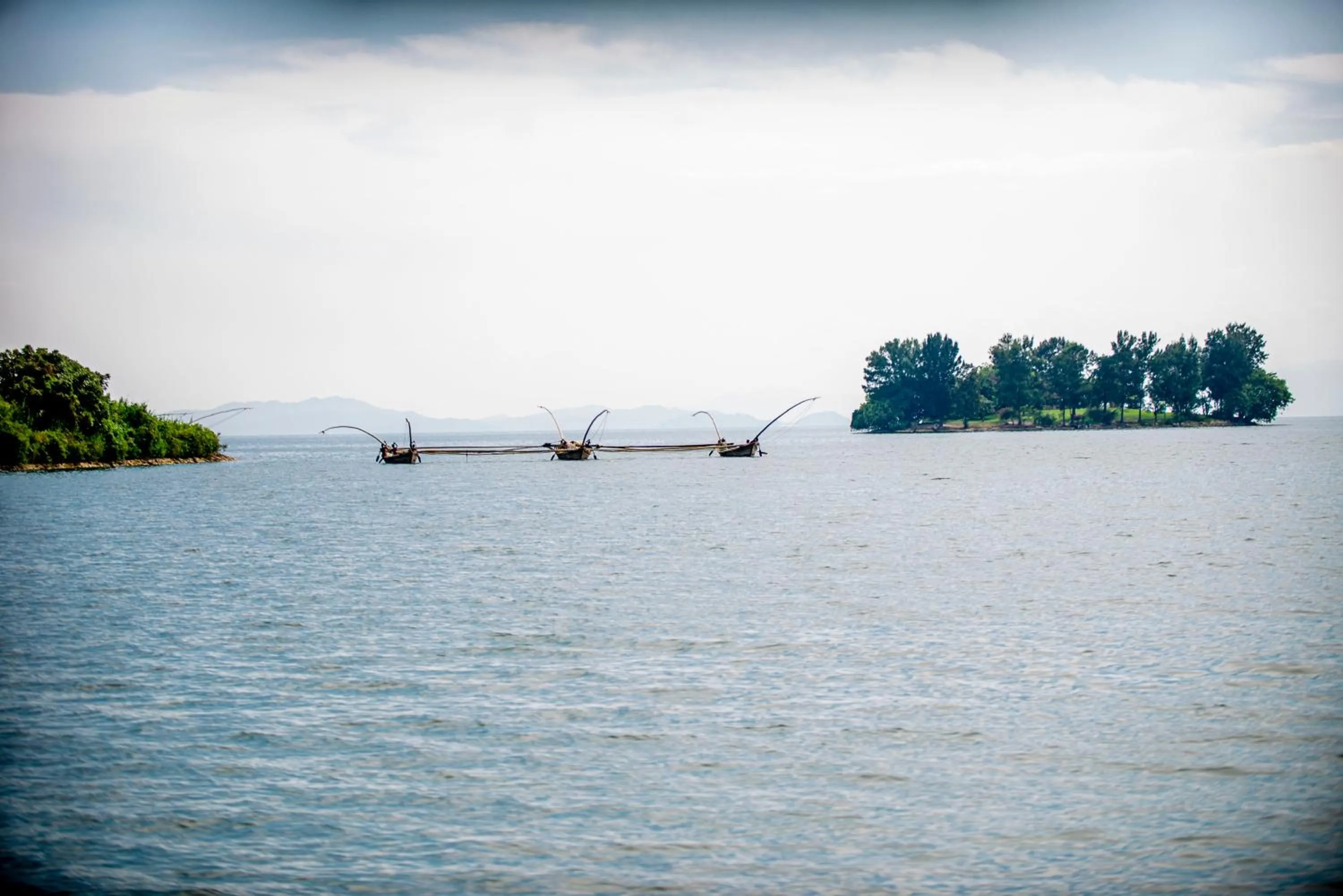Fishing in Paradise Malahide