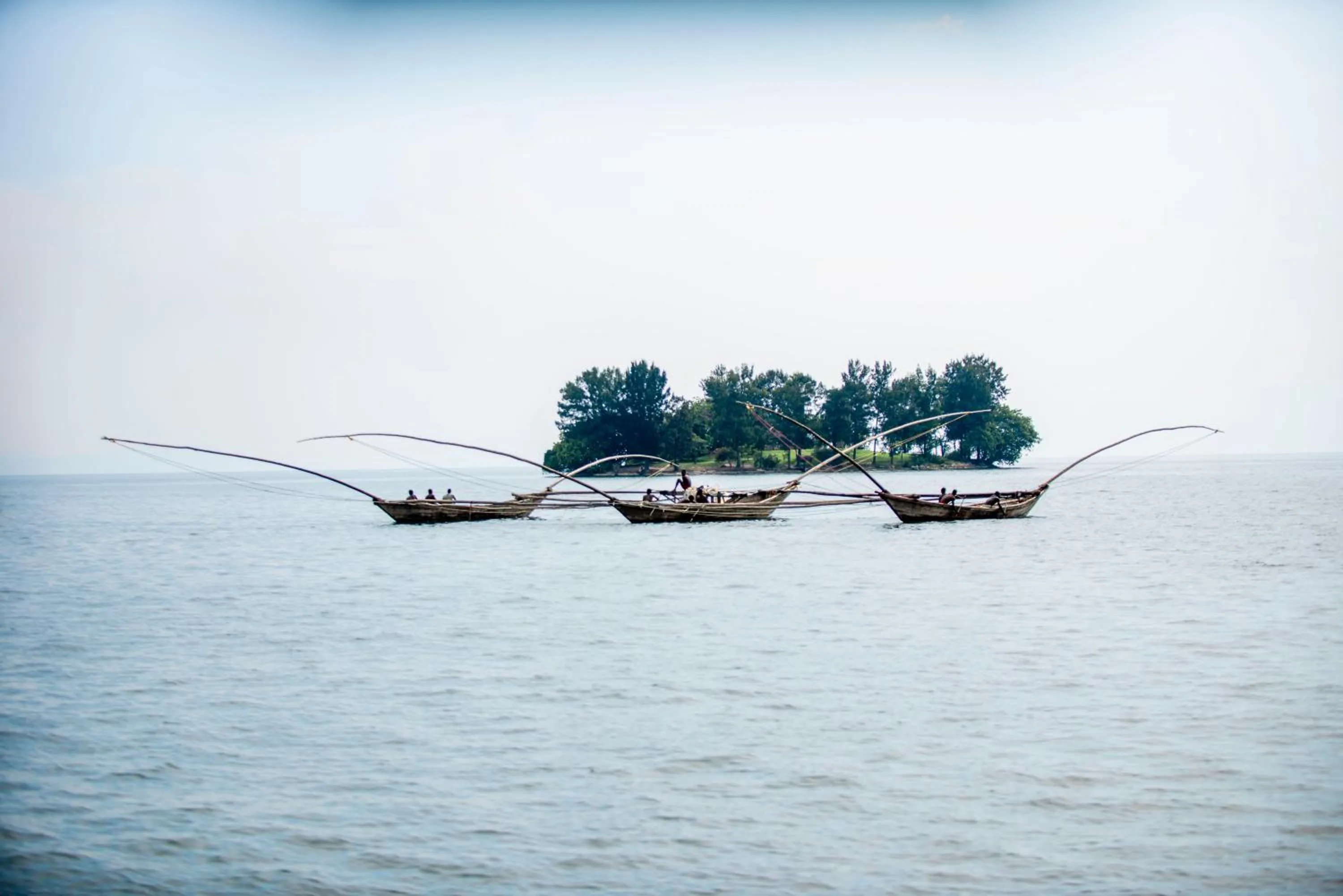 Fishing in Paradise Malahide