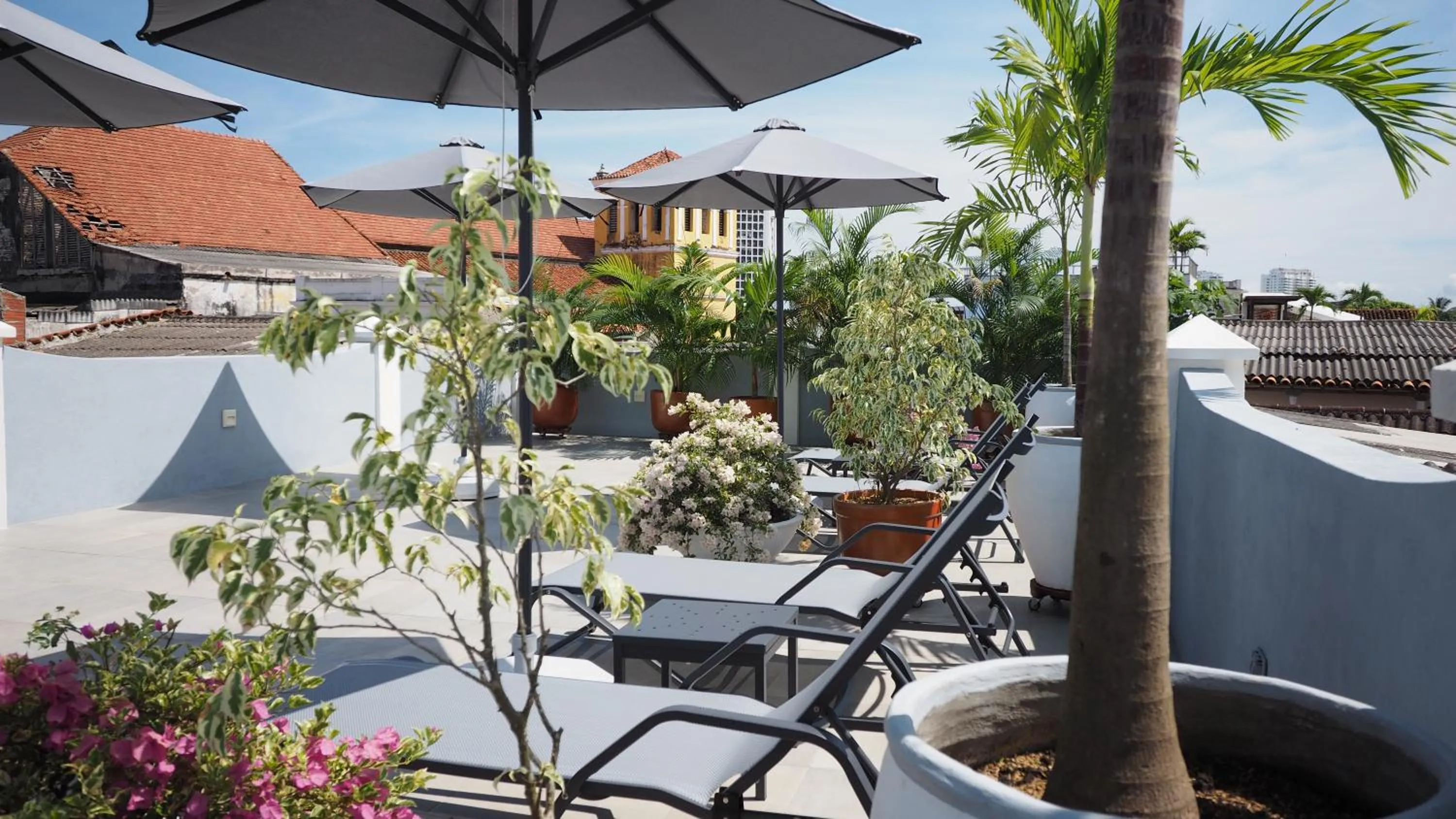 Patio in Hotel Casa Cytia