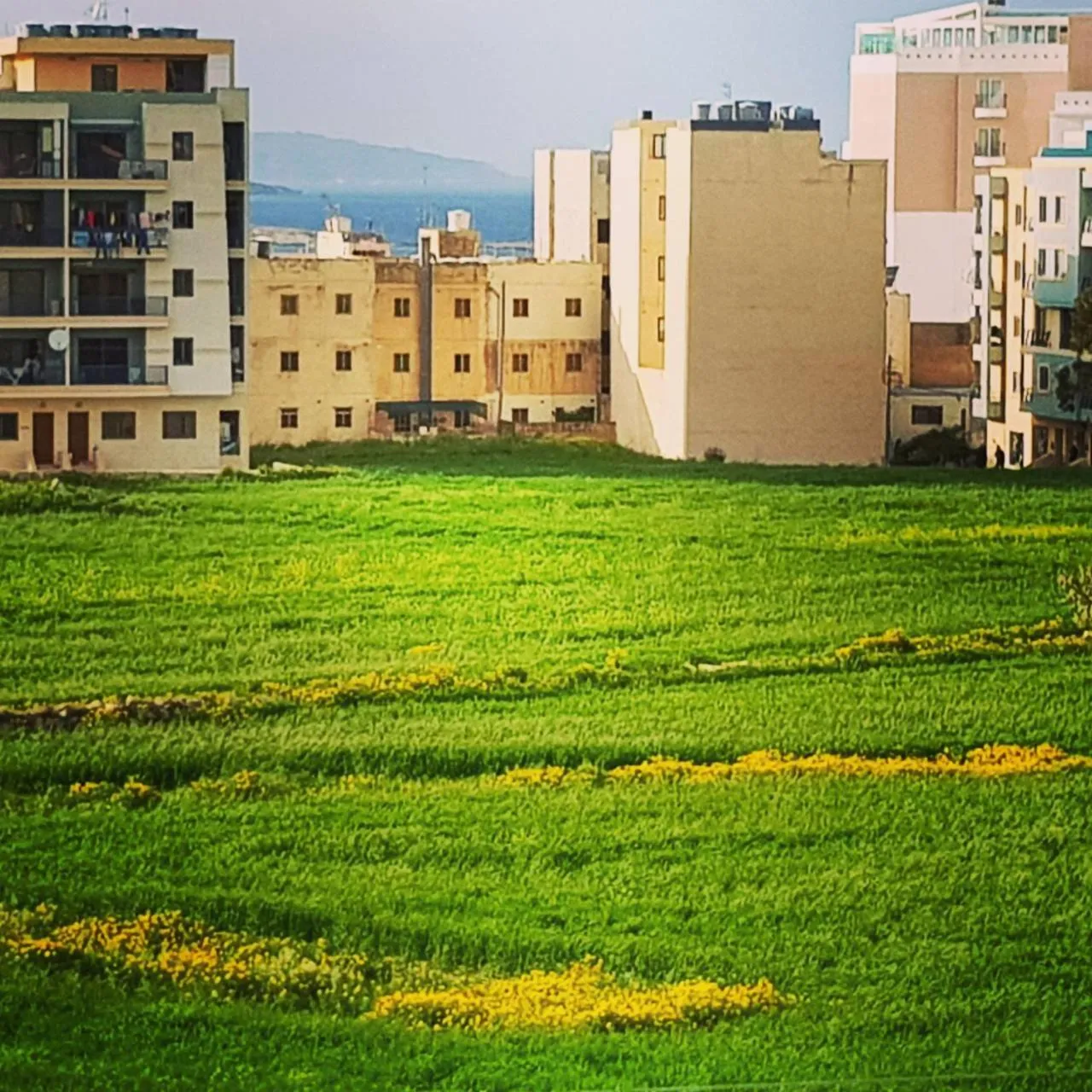 Balcony/Terrace in Sunshine Court