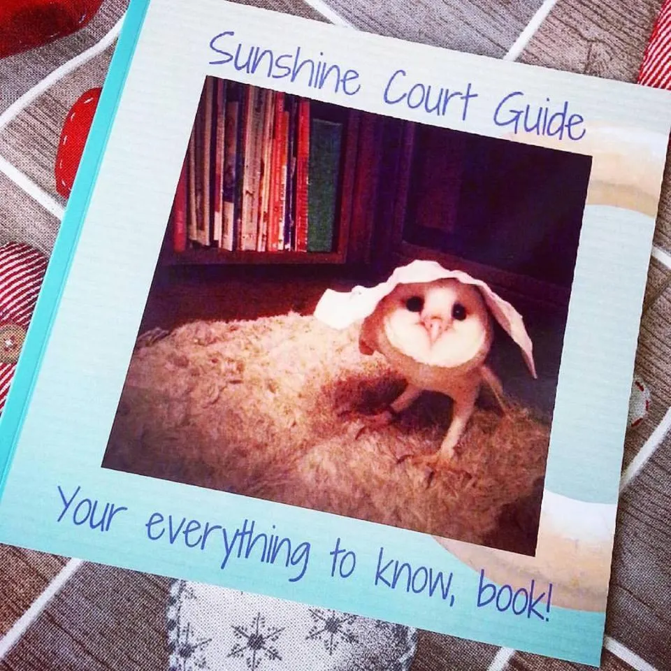 Text overlay in Sunshine Court