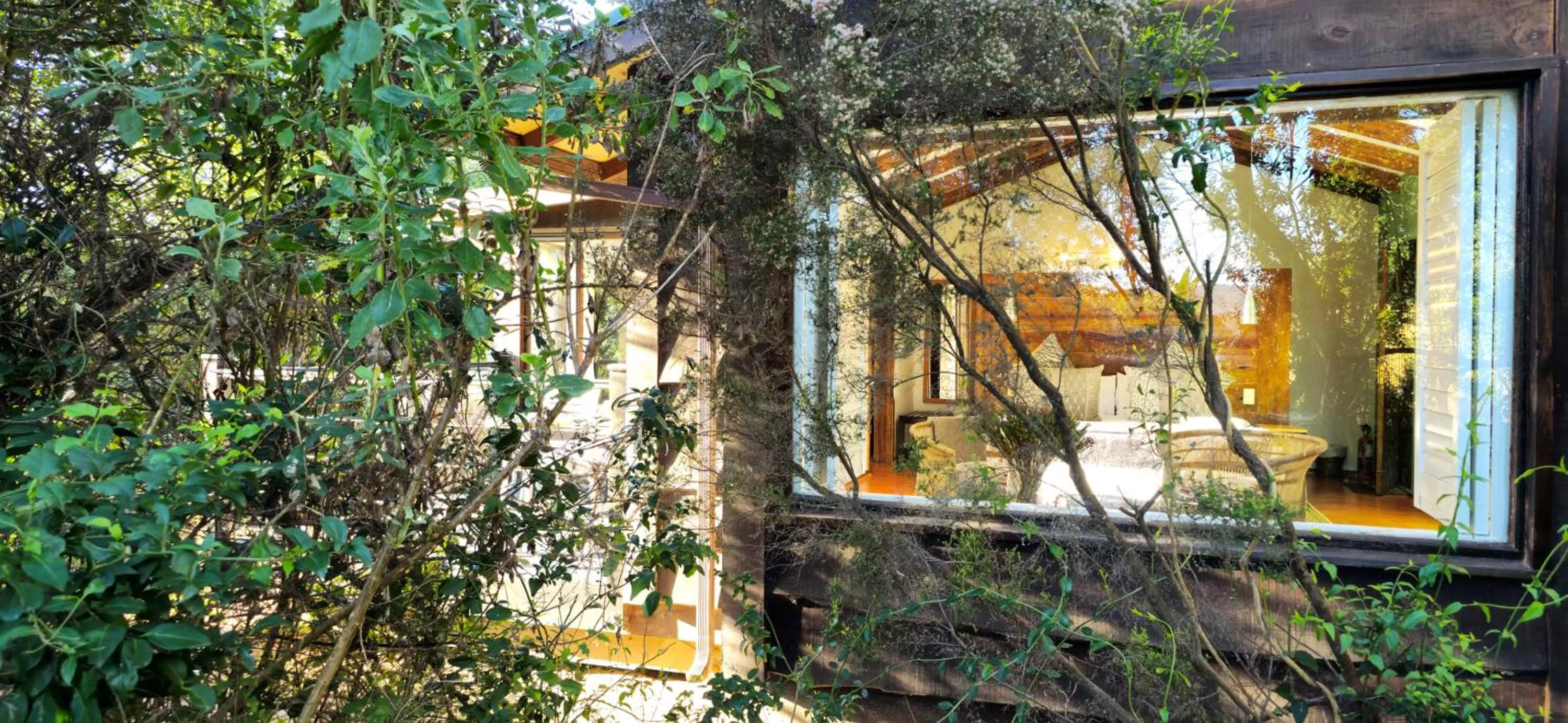 View (from property/room) in Elephant Hide of Knysna Guest Lodge