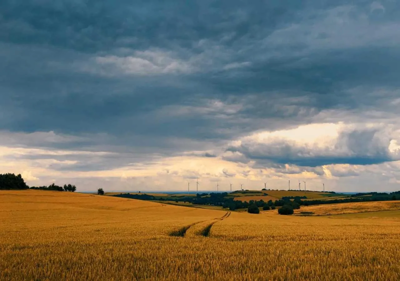 Nearby landmark in Green Seeblick Hotel am See