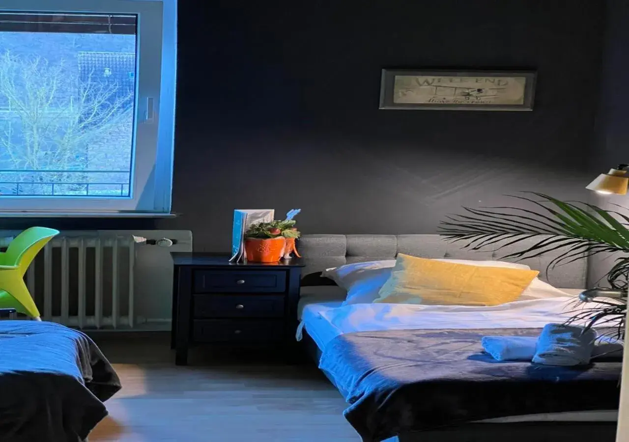 Twin Room with Lake View - single occupancy in Seeblick Hotel am See Twin Room with Lake View - single occupancy in Seeblick Hotel am See