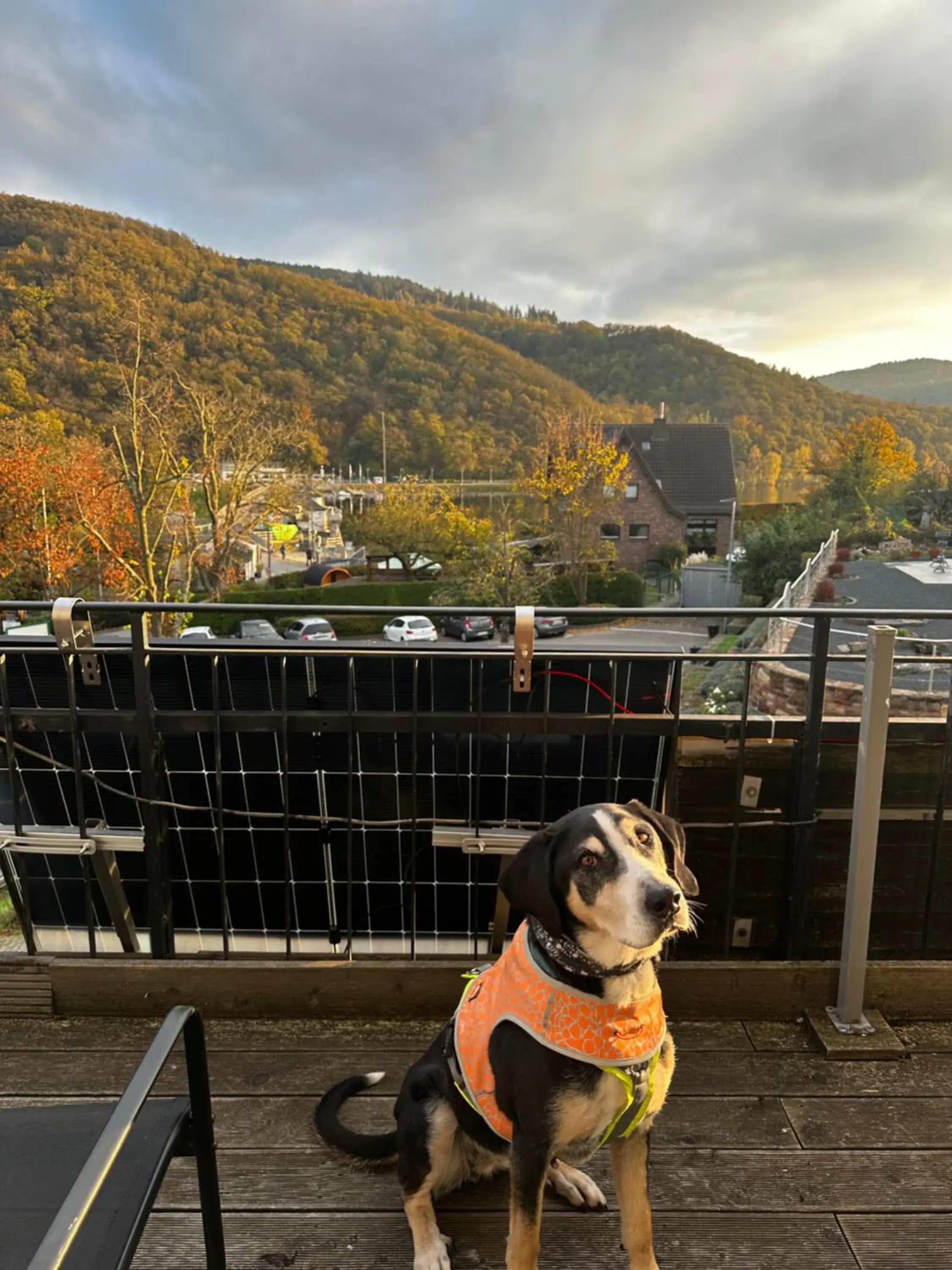 Single Room with Balcony in Green Seeblick Hotel am See Single Room with Balcony in Green Seeblick Hotel am See