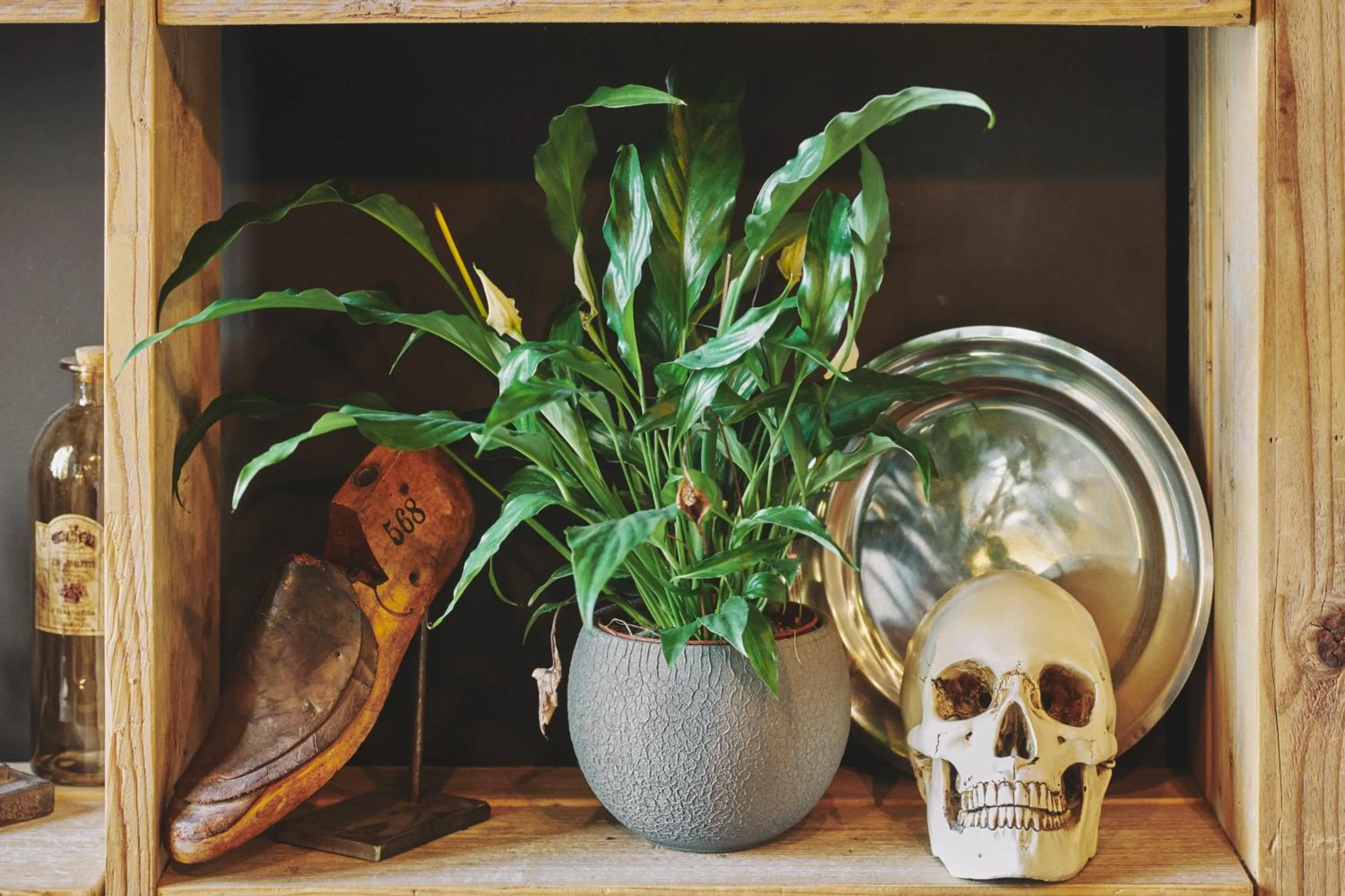 Lobby or reception in The Legacy by 2GO4 City Center