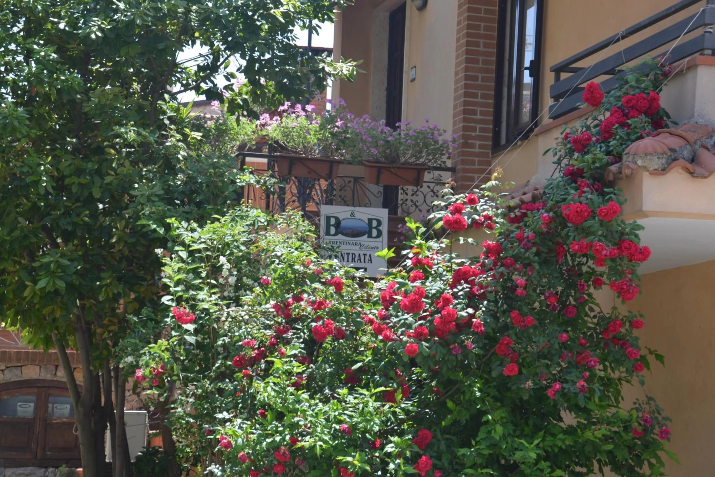 Facade/entrance in Trentinara Cilento